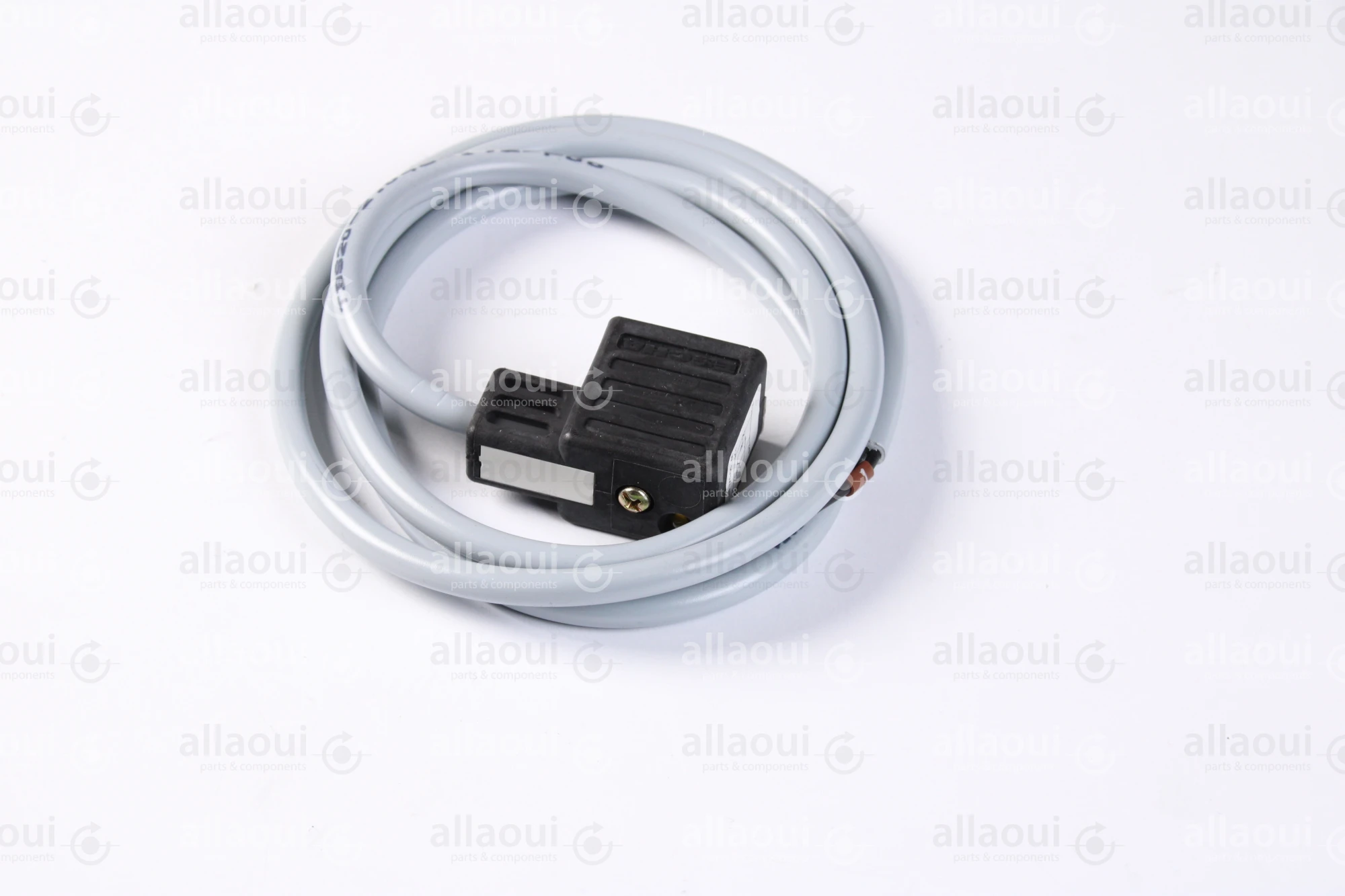 Escha 2-Pole Magnet Connector with Cable TBS20-2.048-1,2/P00