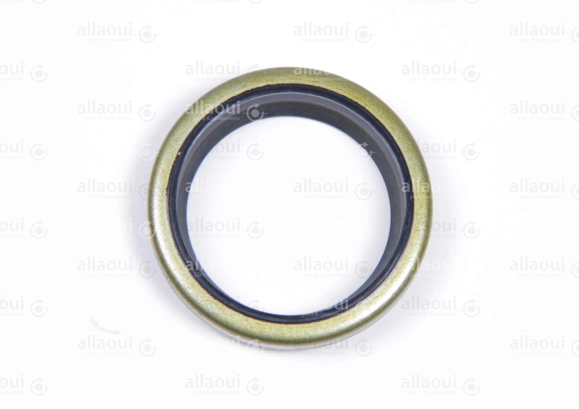 Heidelberg Remover QAN28x36 00.580.0189/