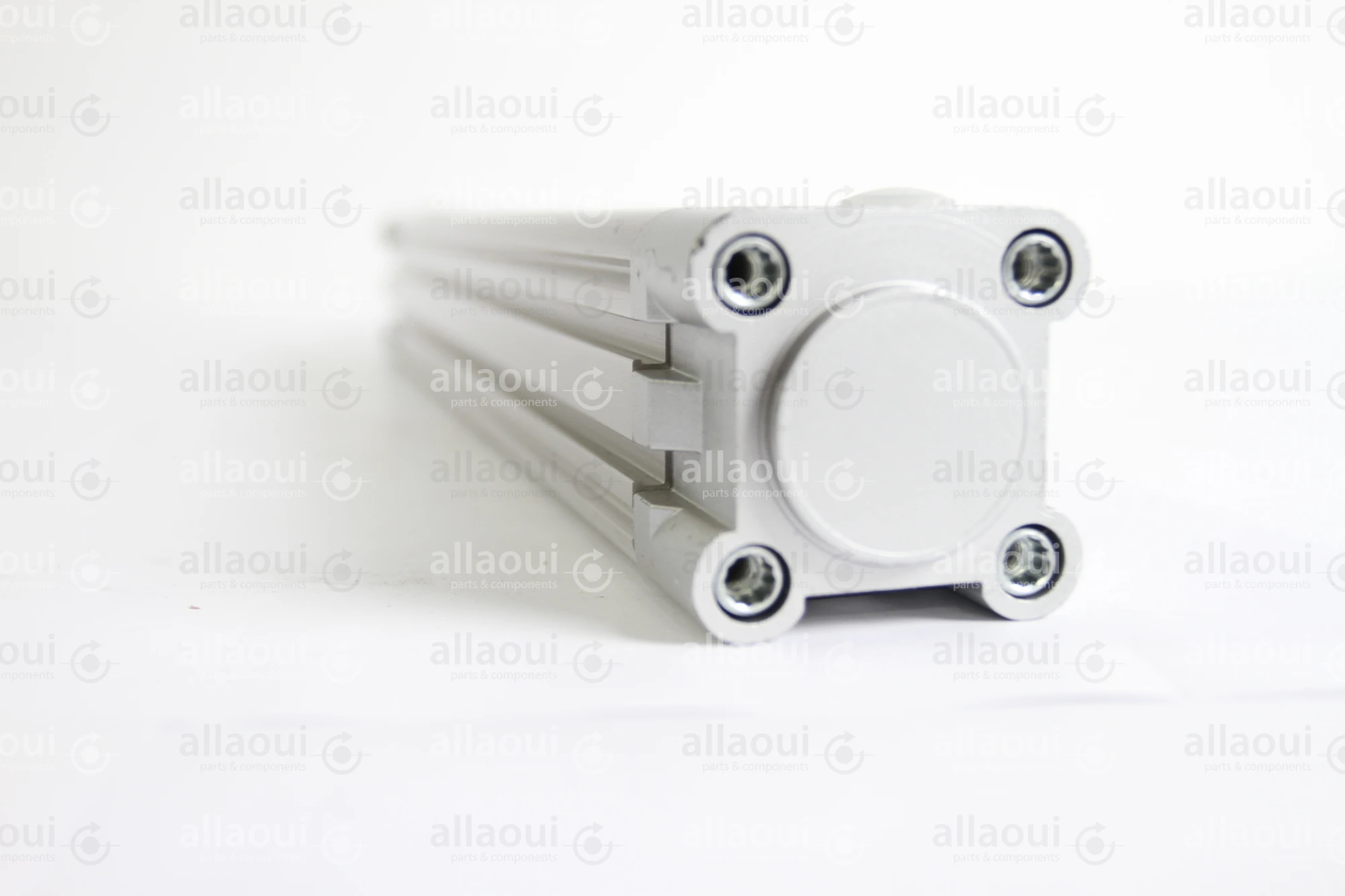 Festo Pneumatic Cylinder DNC-40-320-PPV-A