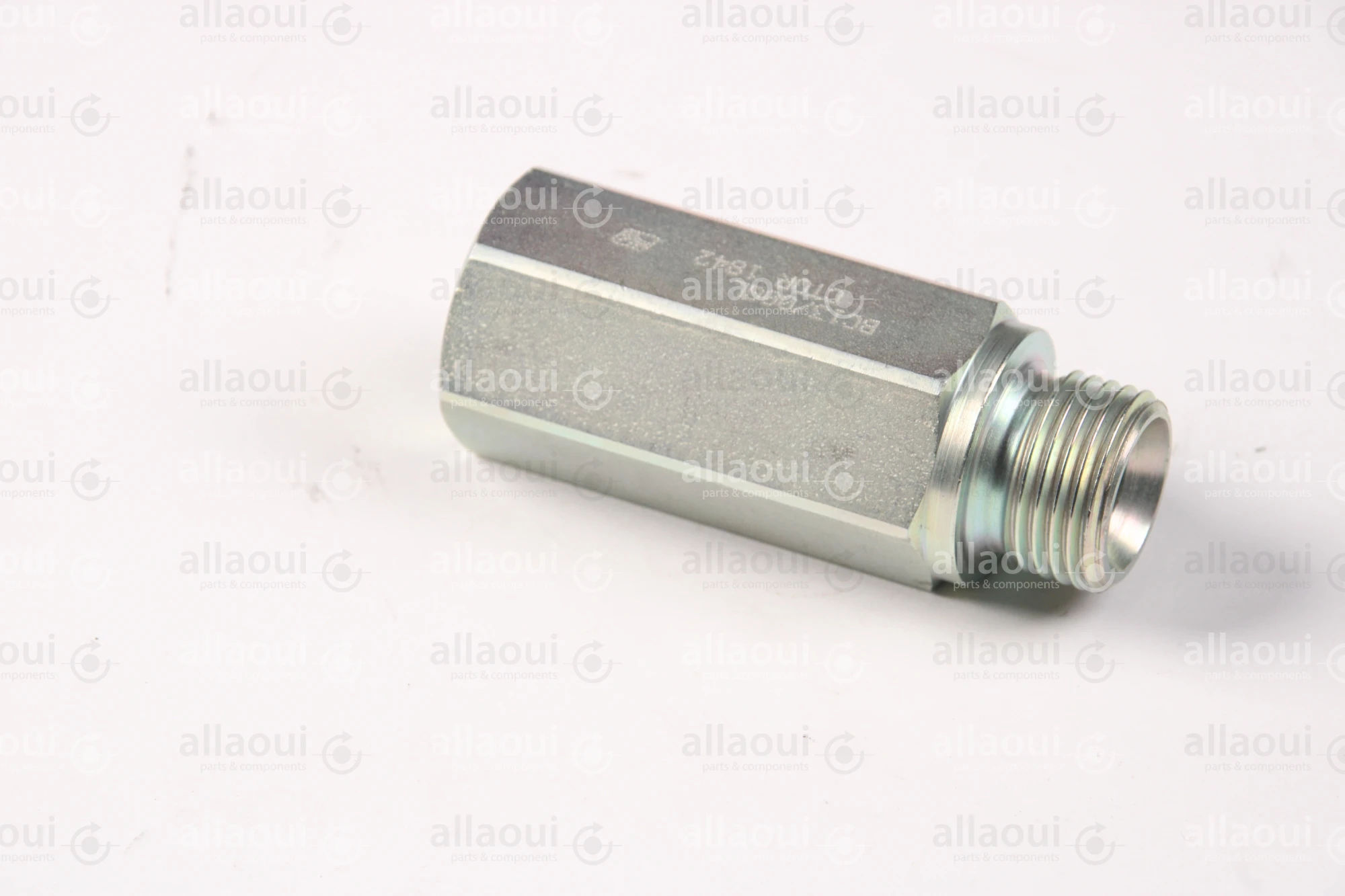 Contiweb Load Holding Valve WH090453655