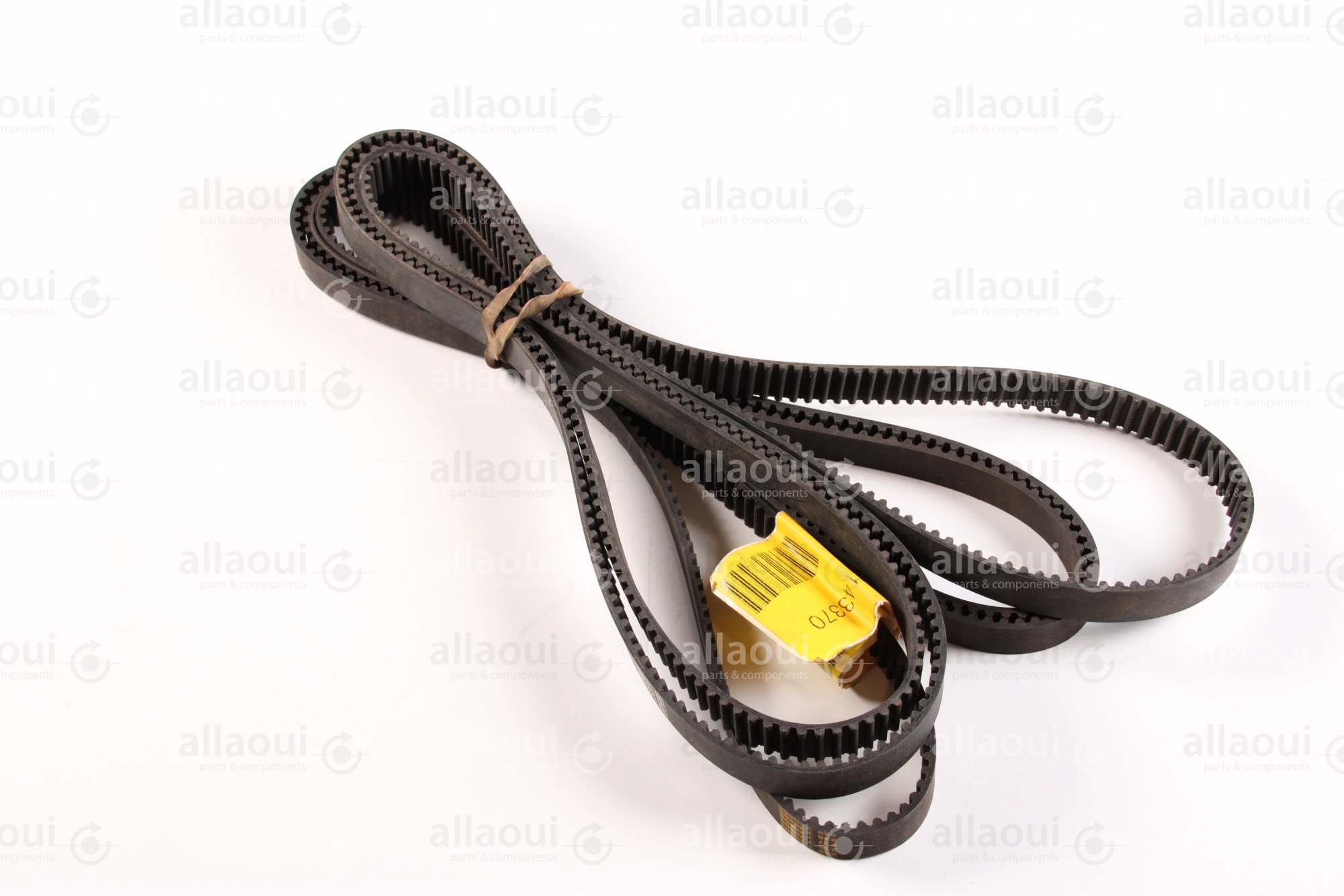 Horizon Toothed Belt 9400-55204