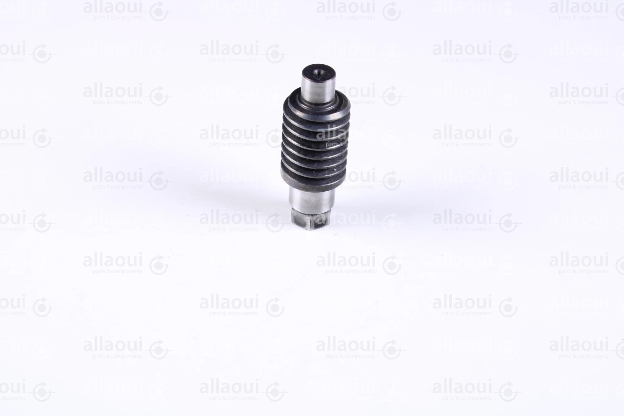 Heidelberg Gear 7G.006.031/02