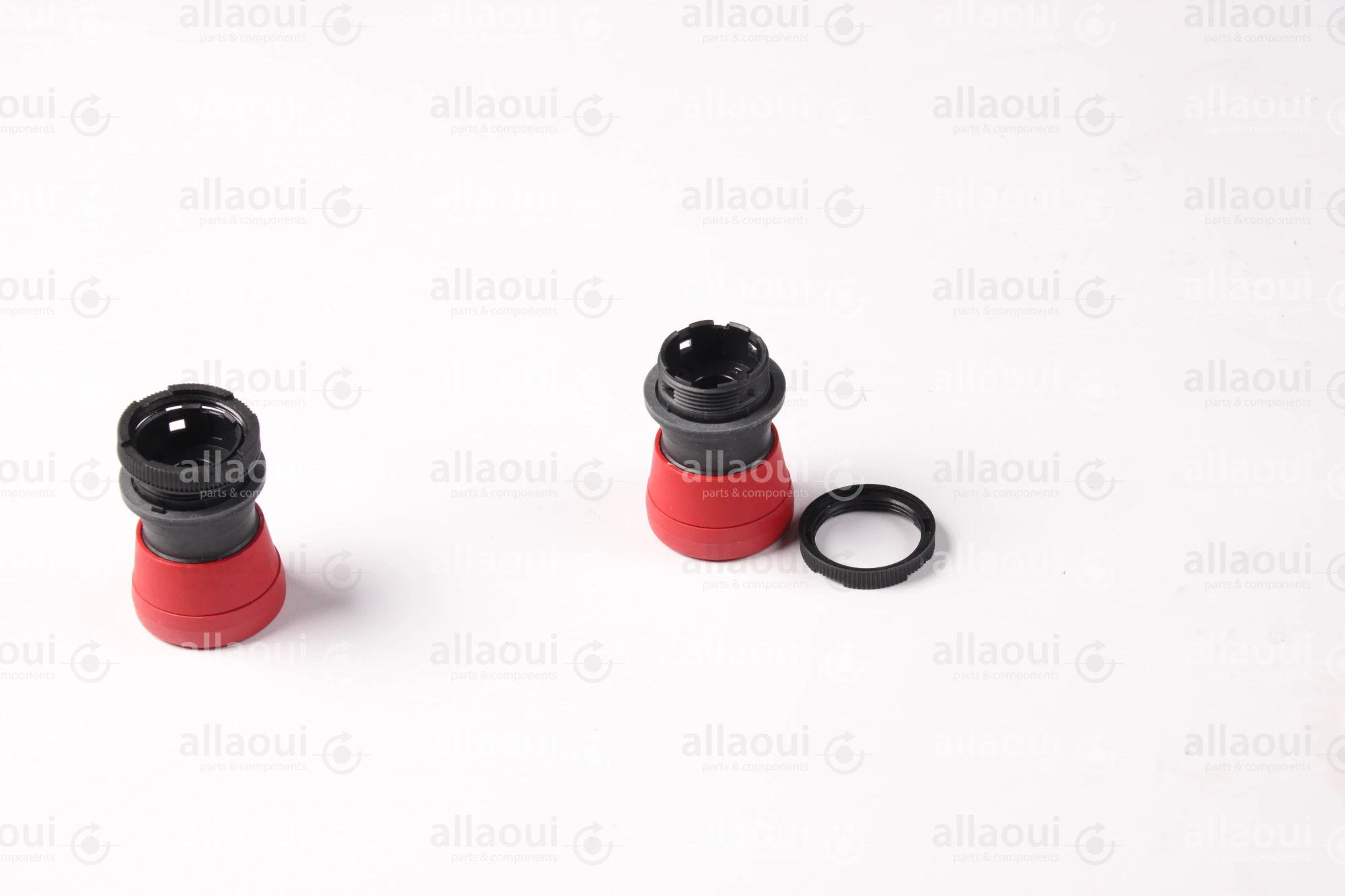 Rafi Emergency Stop Switch 9.30.253.002/0000