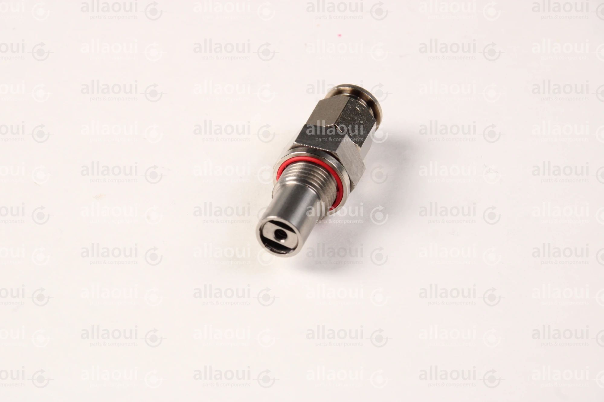Planatol Check Valve 109176