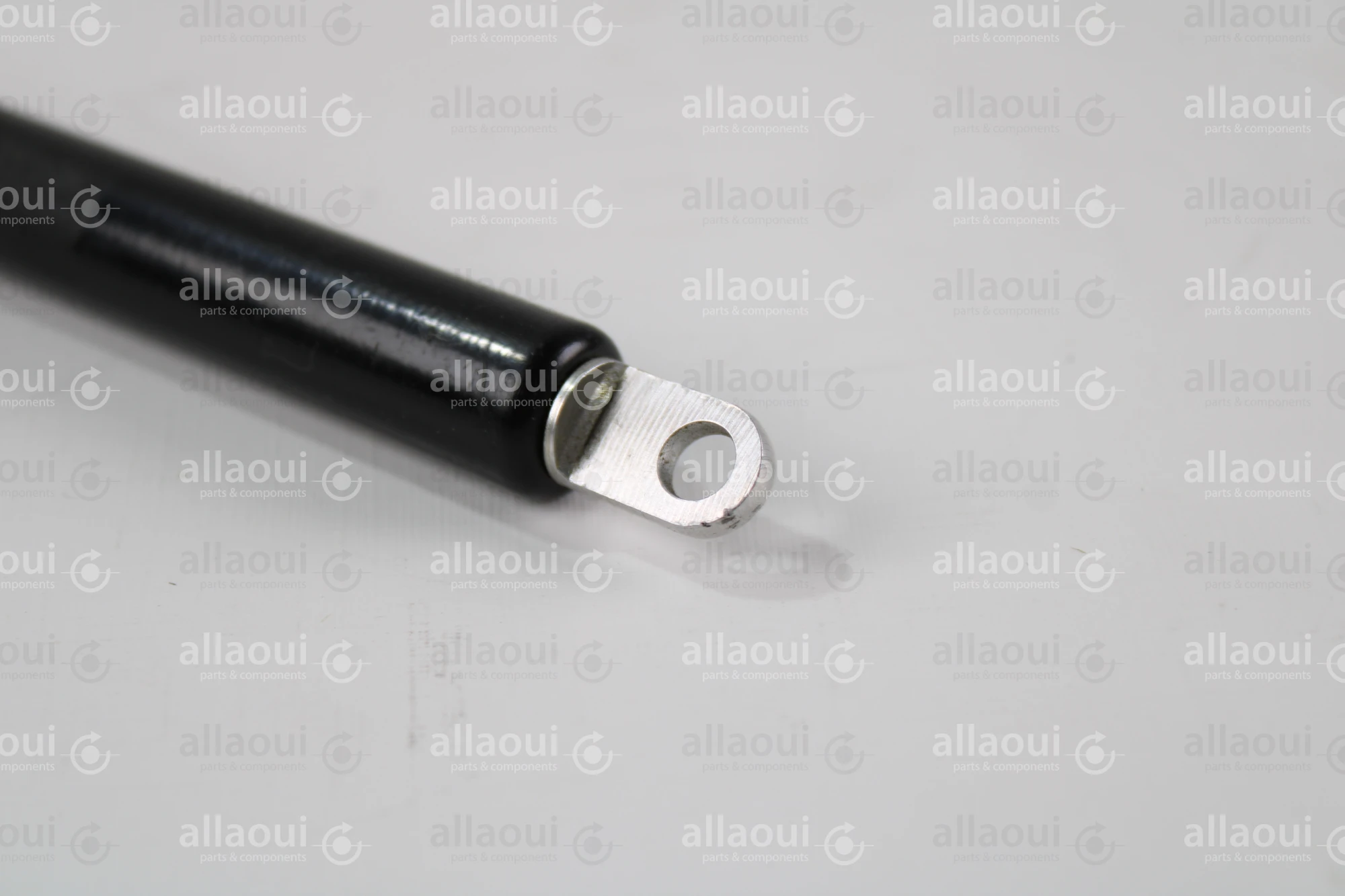 Bansbach Gas Spring D1D1-46-150-365--011 300N