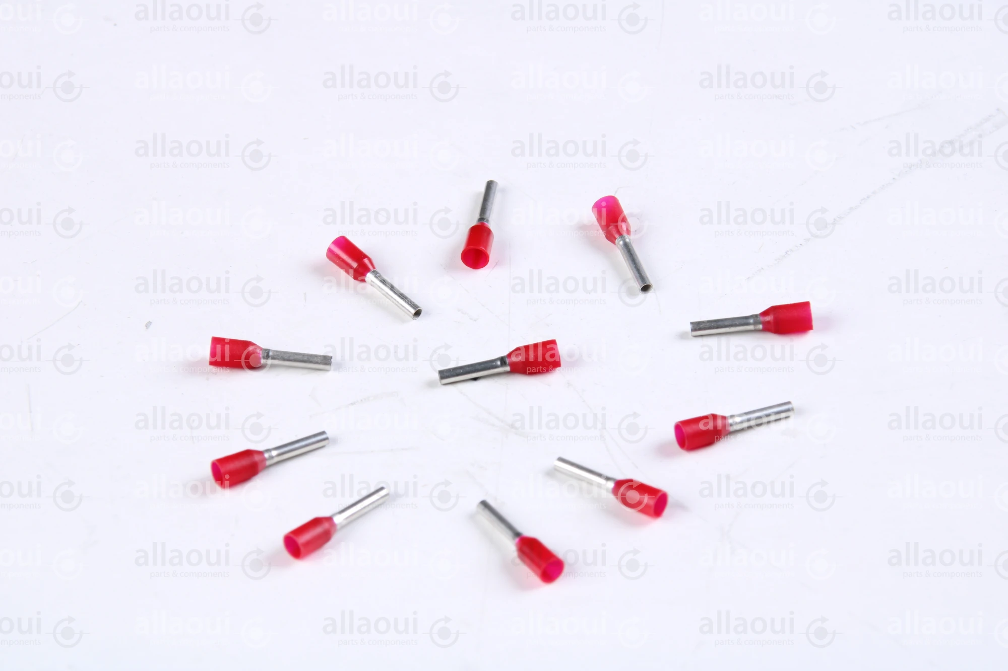 Koenig & Bauer (KBA) End-Fitting (11 Pieces) L0721812