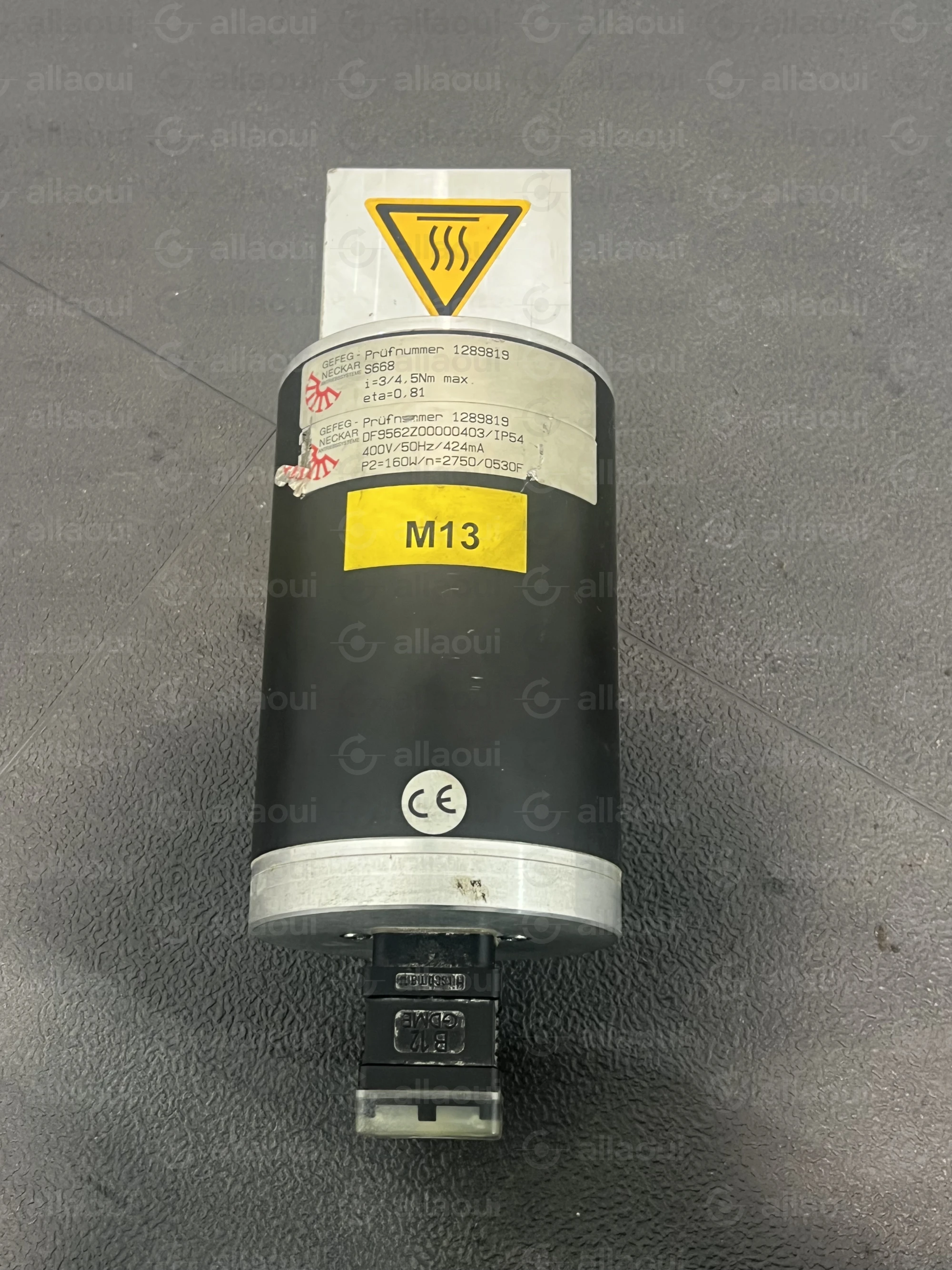 Gefeg-Neckar Motor DF9562Z00000403/IP54