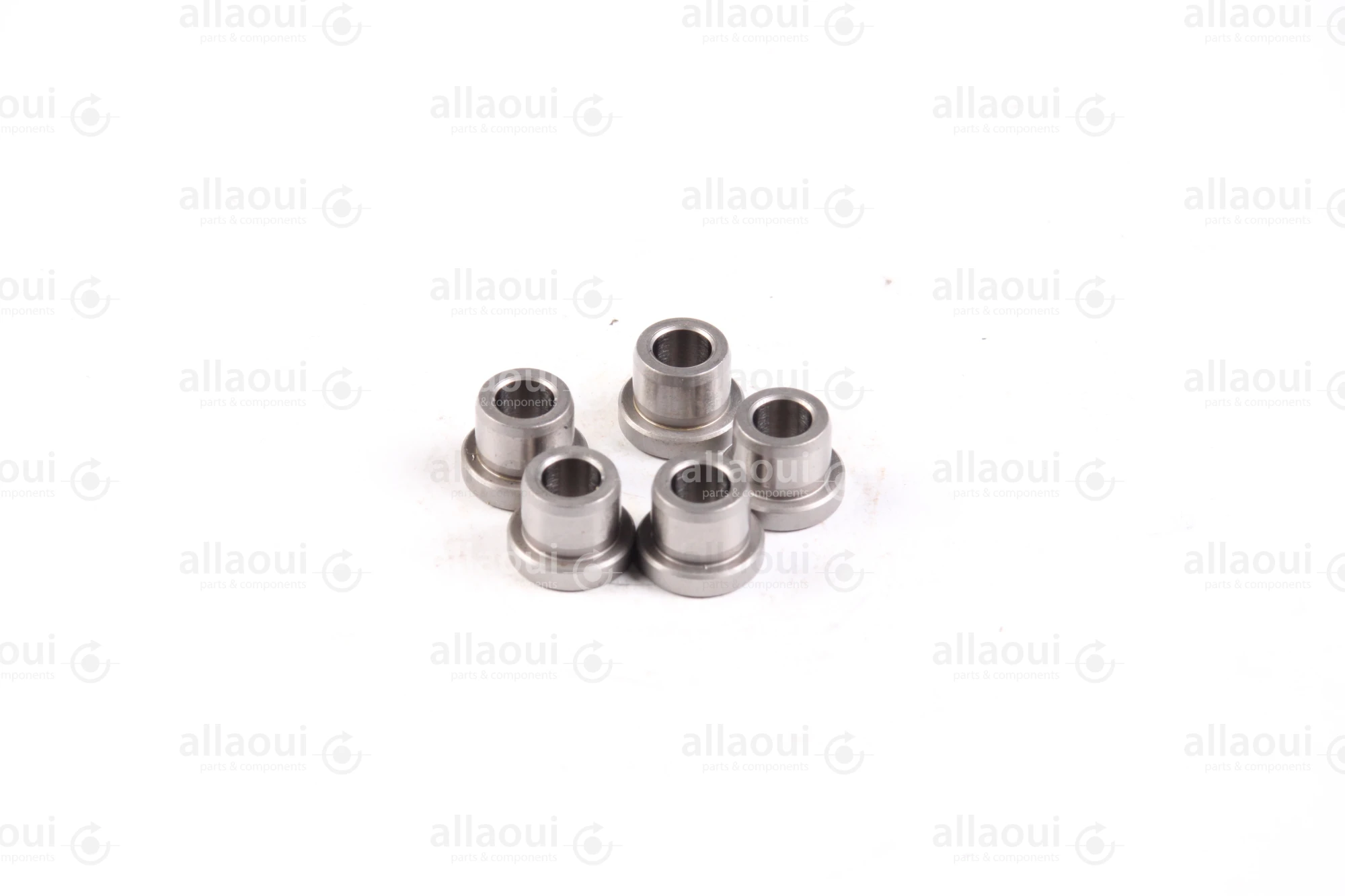 Ludwig Meister DIN 172 Guide Bushings(5 Pieces) 480-DIN172-B6-10-A