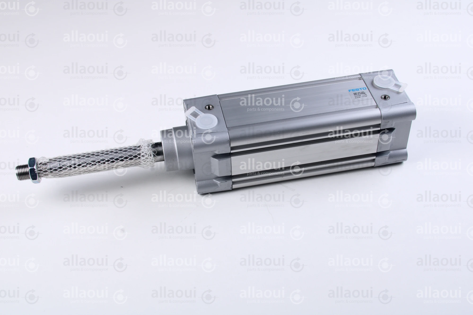 Festo Double acting standard cylinder DNC-63-100-PPV-A-100K8