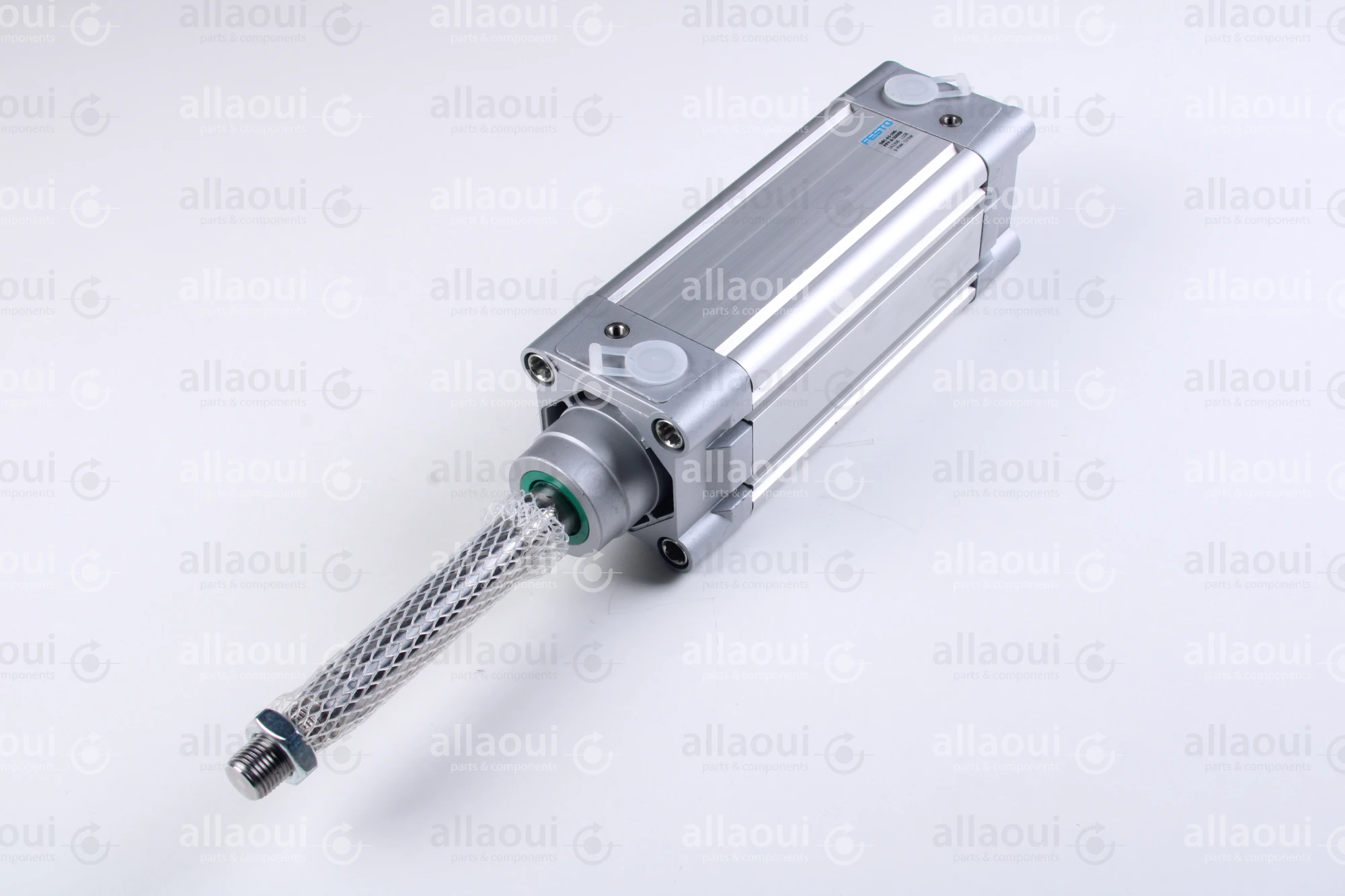 Festo Double acting standard cylinder DNC-63-100-PPV-A-100K8