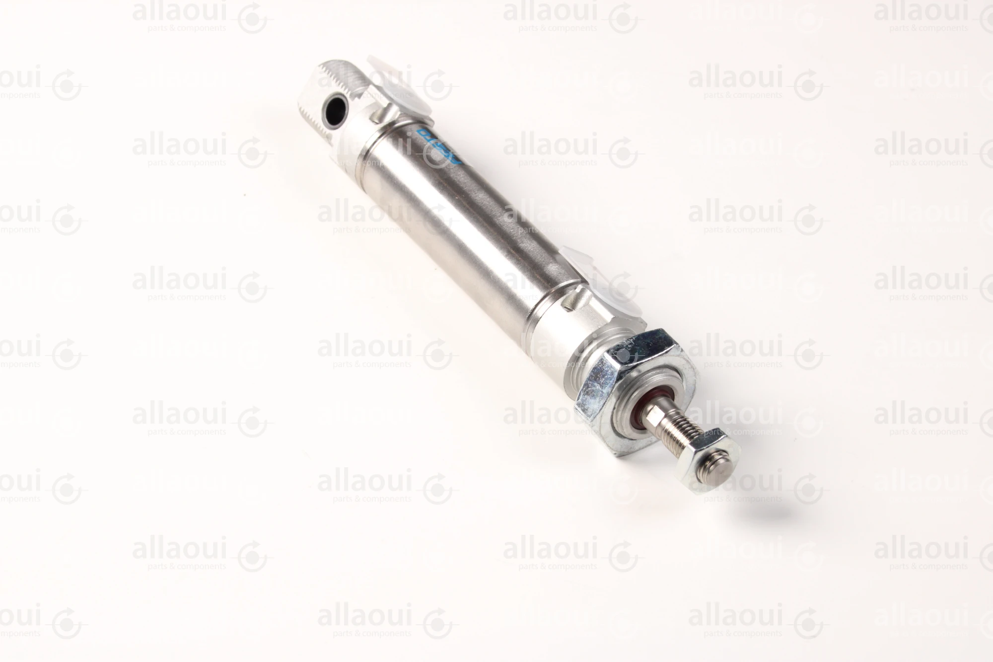 Festo Pneumatic Cylinder 19246