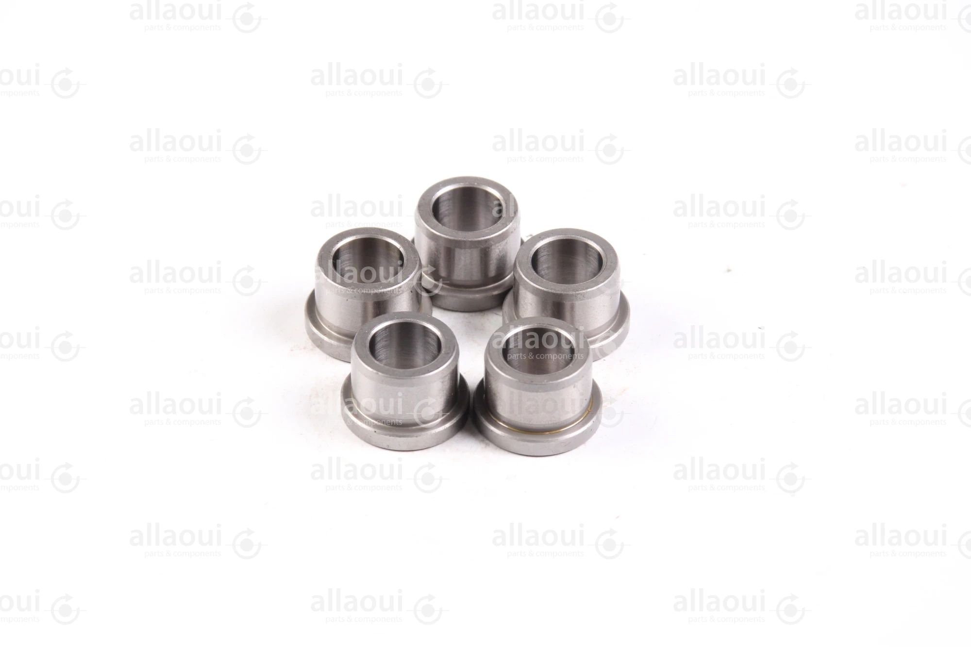 Ludwig Meister DIN 172 Guide Bushings(5 Pieces) 480-DIN172-B10-12-A