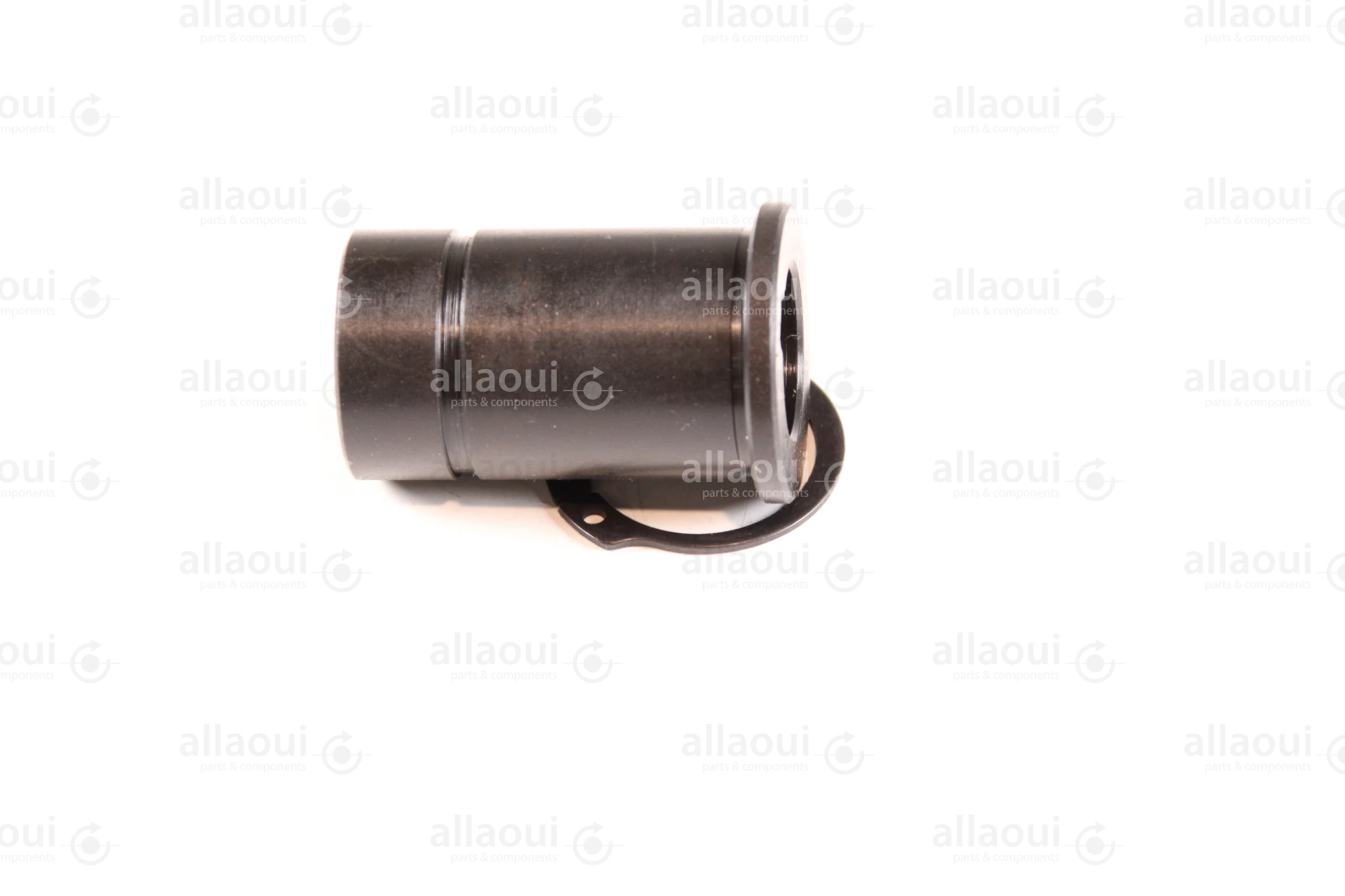 Kolbus Bush 000234022