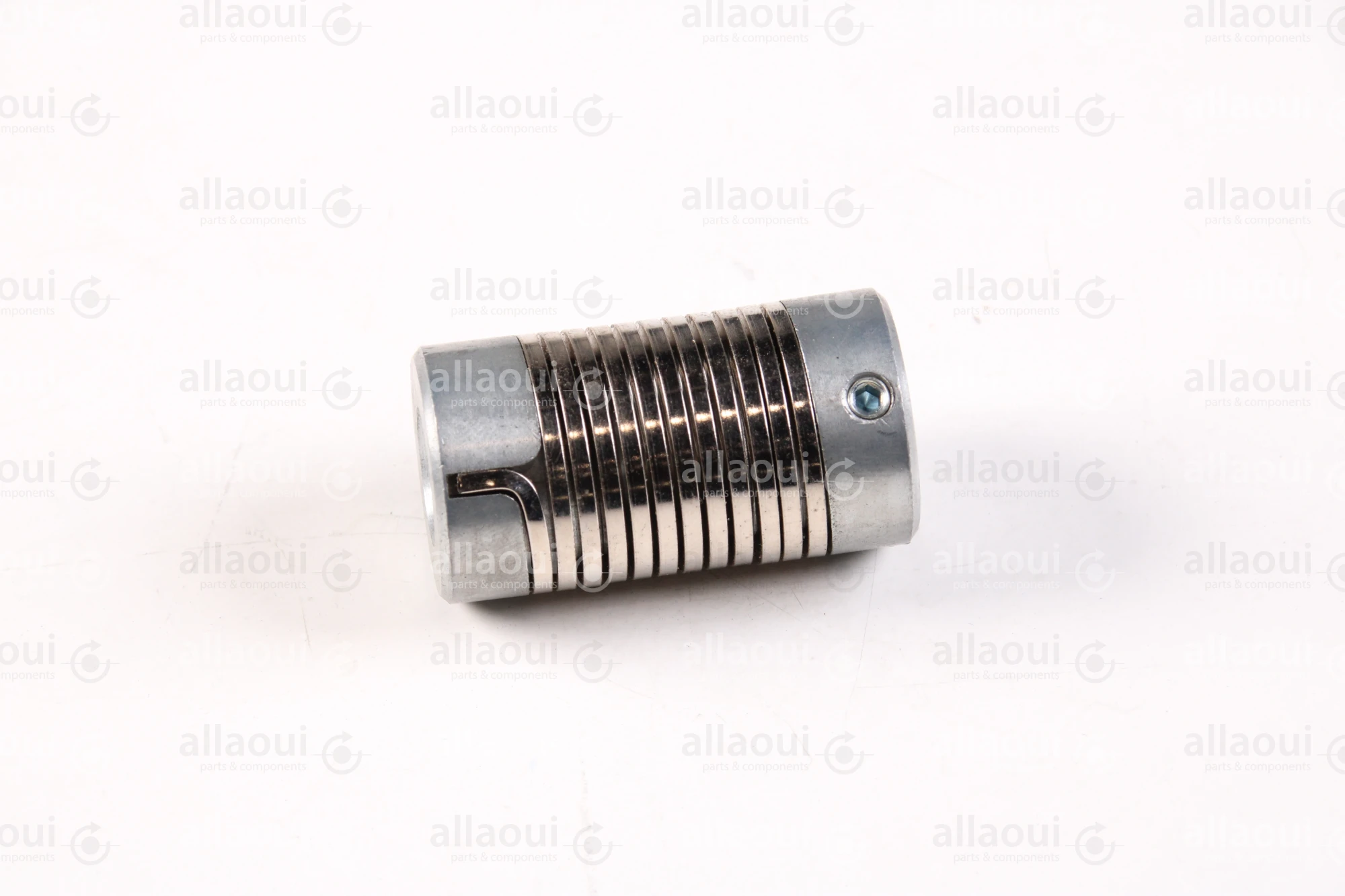 Segbert Coupling 05930 MAE