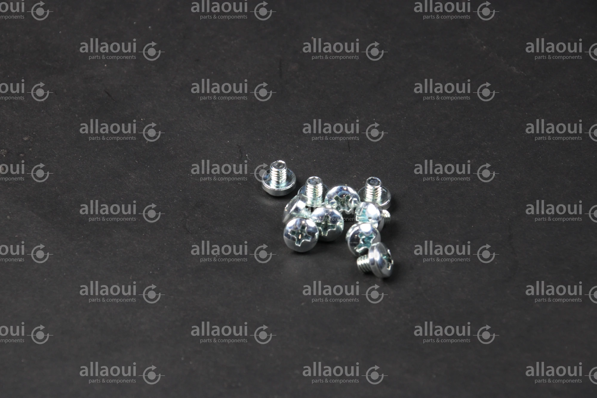 Manroland Lens Head Screw (10 pieces) 06.04201-4401