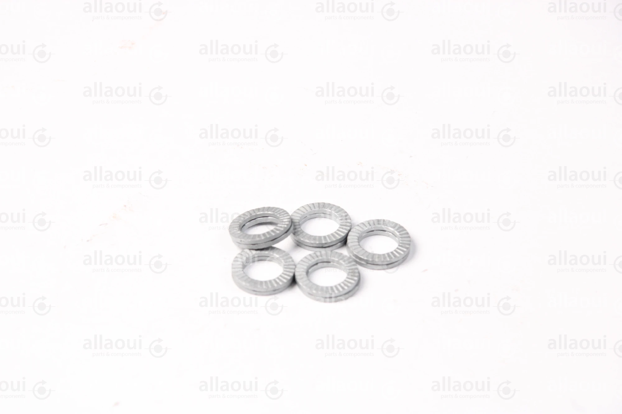 Manroland Pair Of Lock Washers (5 pieces) 06.16760-0126