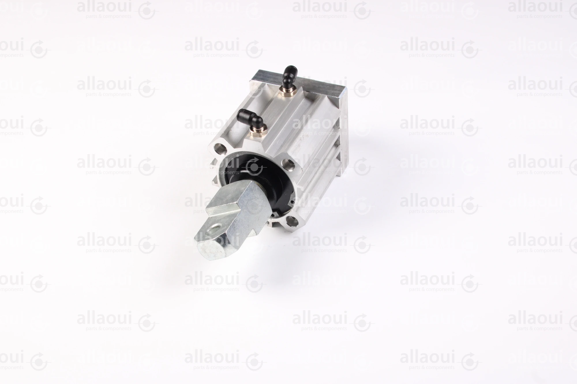 Elettra Pneumatic Cylinder 1026652-00