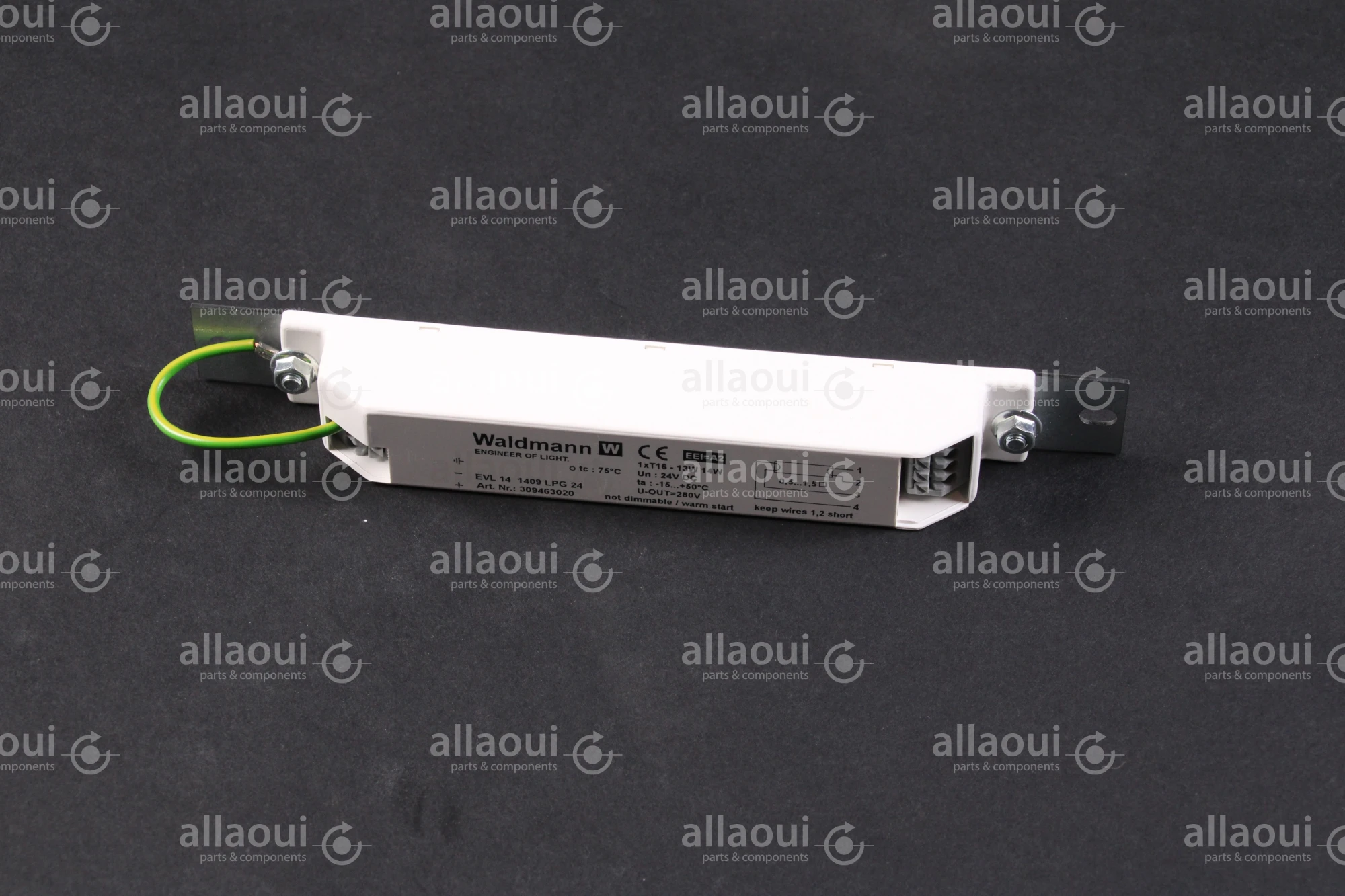 Waldmann 24VDC ballast 309463020