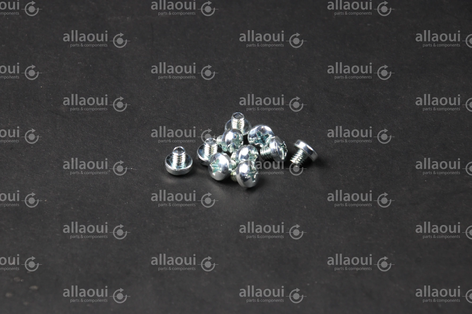 Manroland Lens Head Screw (10 pieces) 06.04201-4401