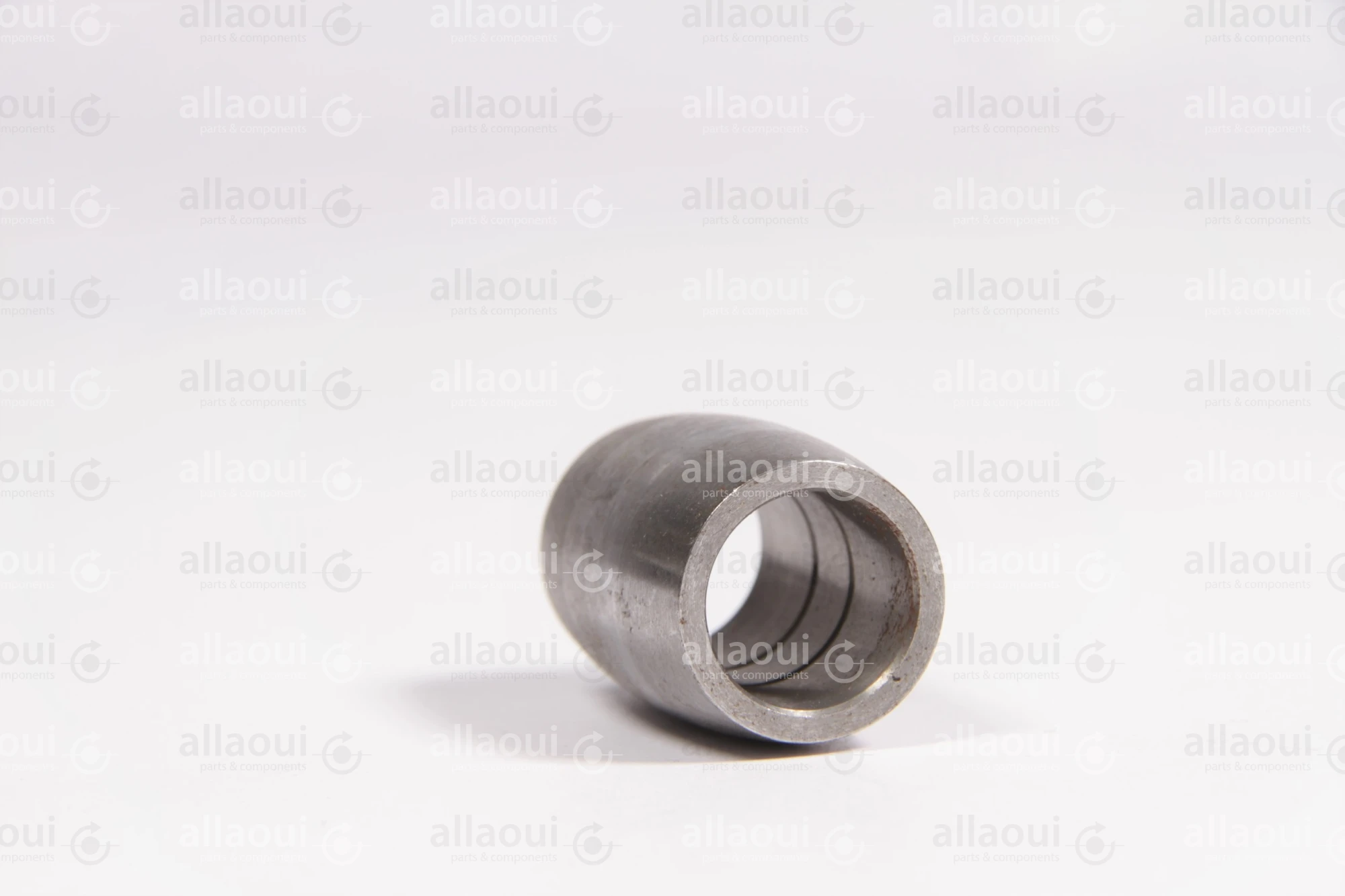 Manroland Pulley 16.31273-0018