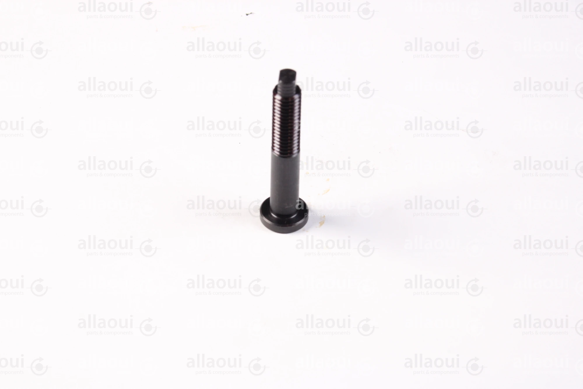 Müller Martini Shaft RD17X63 7526.1033.4