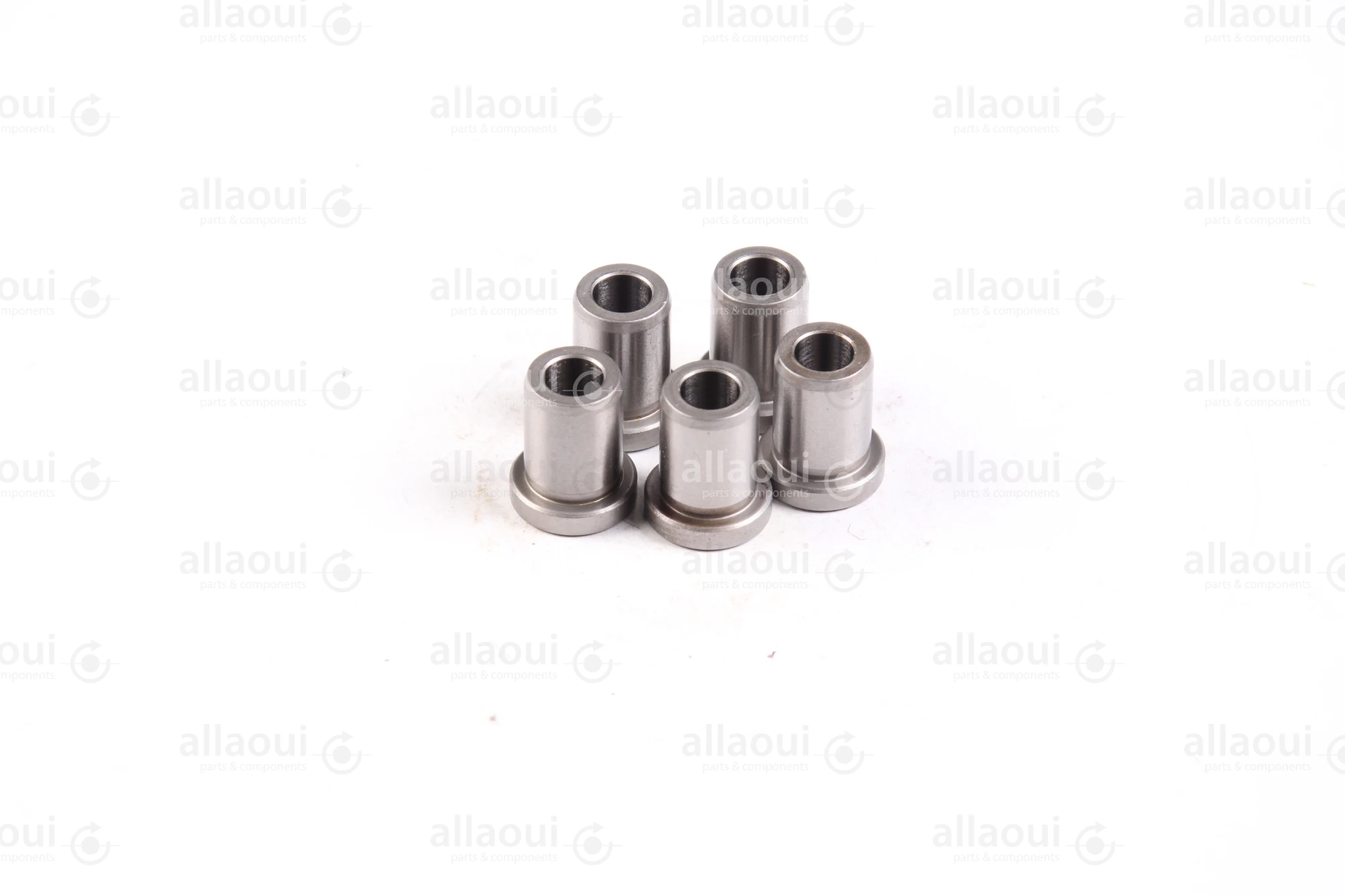 Ludwig Meister DIN 172 Guide Bushings(5 Pieces) 480-DIN172-B6-16-A