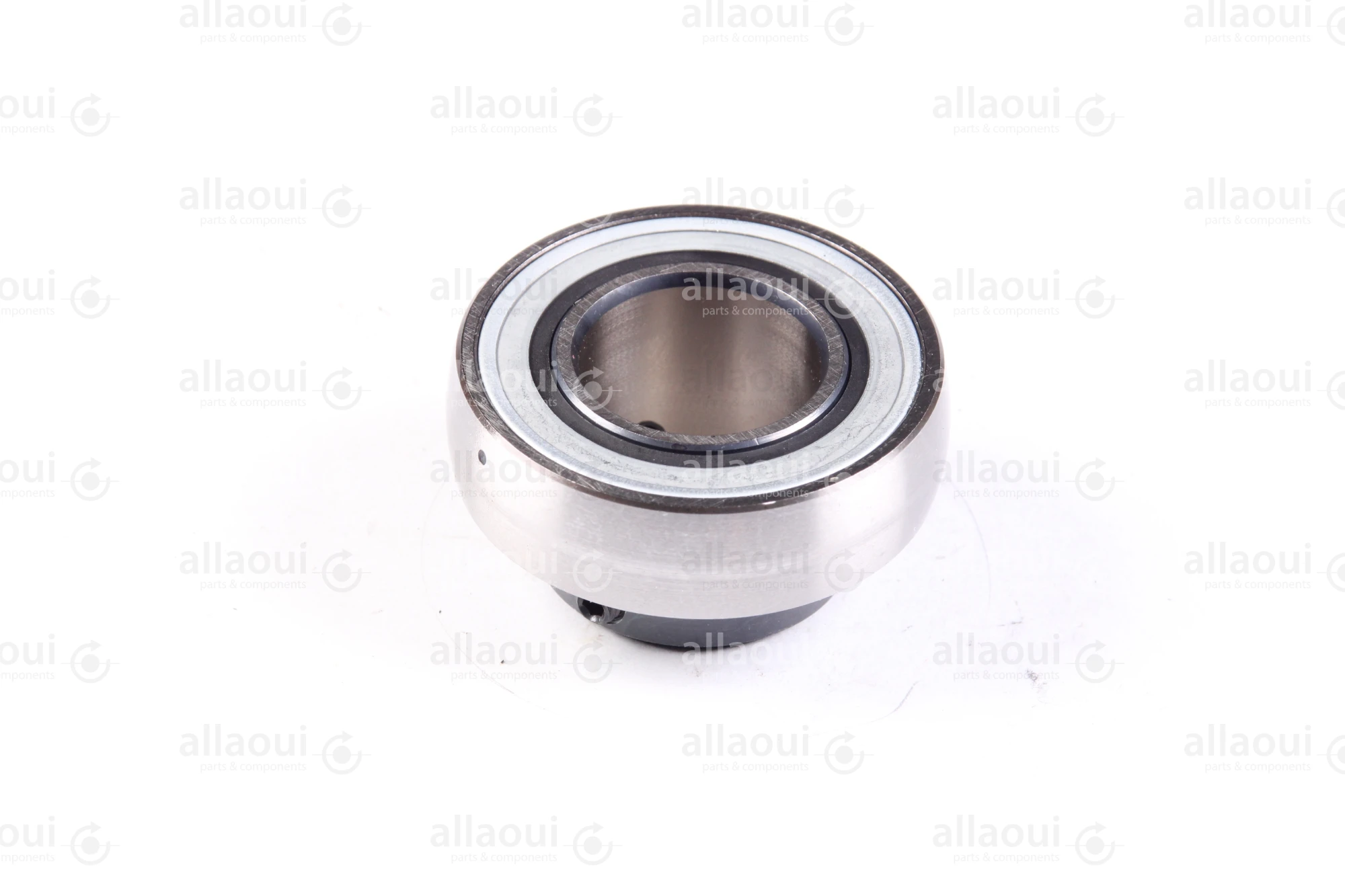 INA Cam Roller GAY25-NPP-B