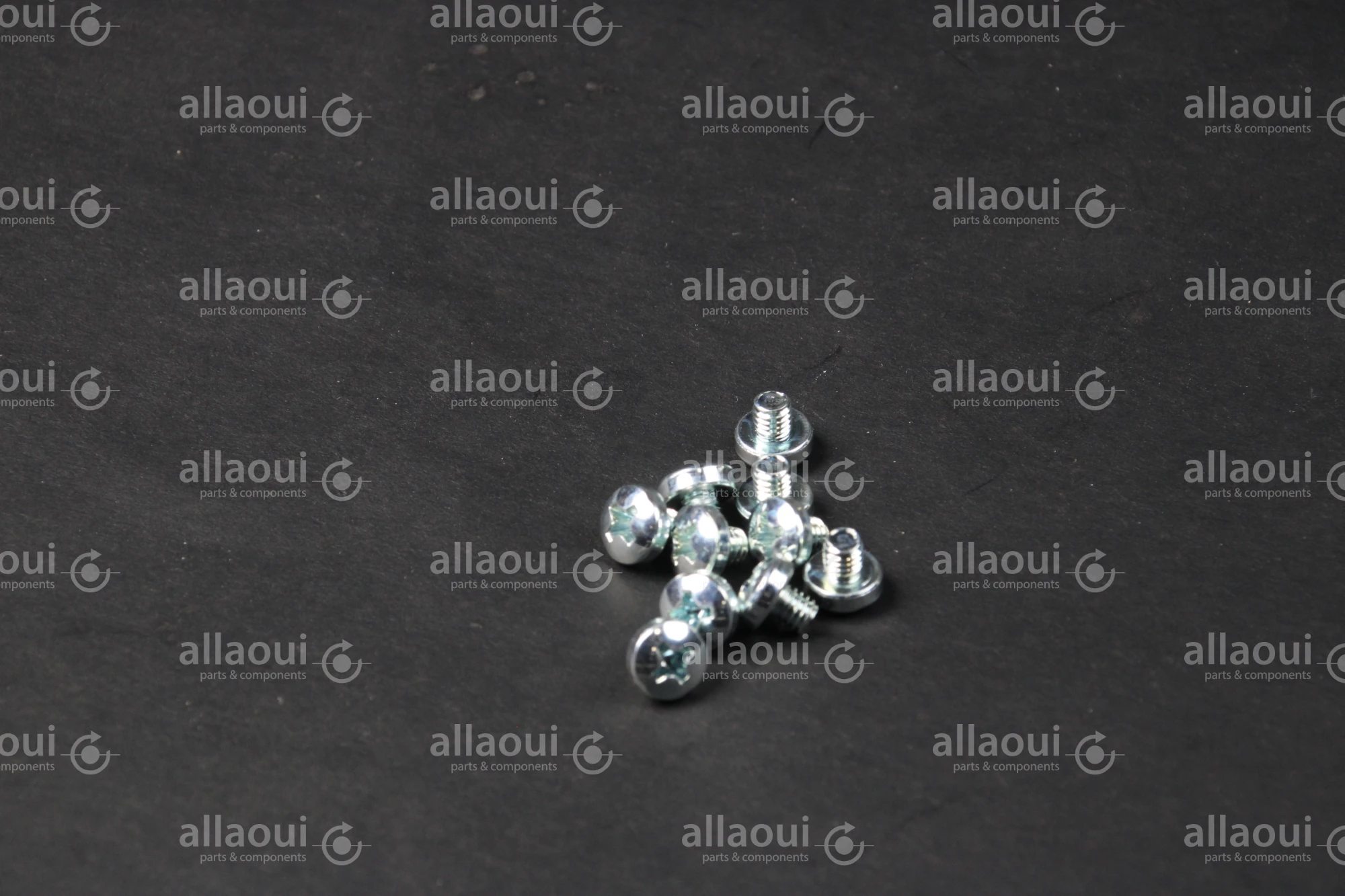 Manroland Lens Head Screw (10 pieces) 06.04201-4401