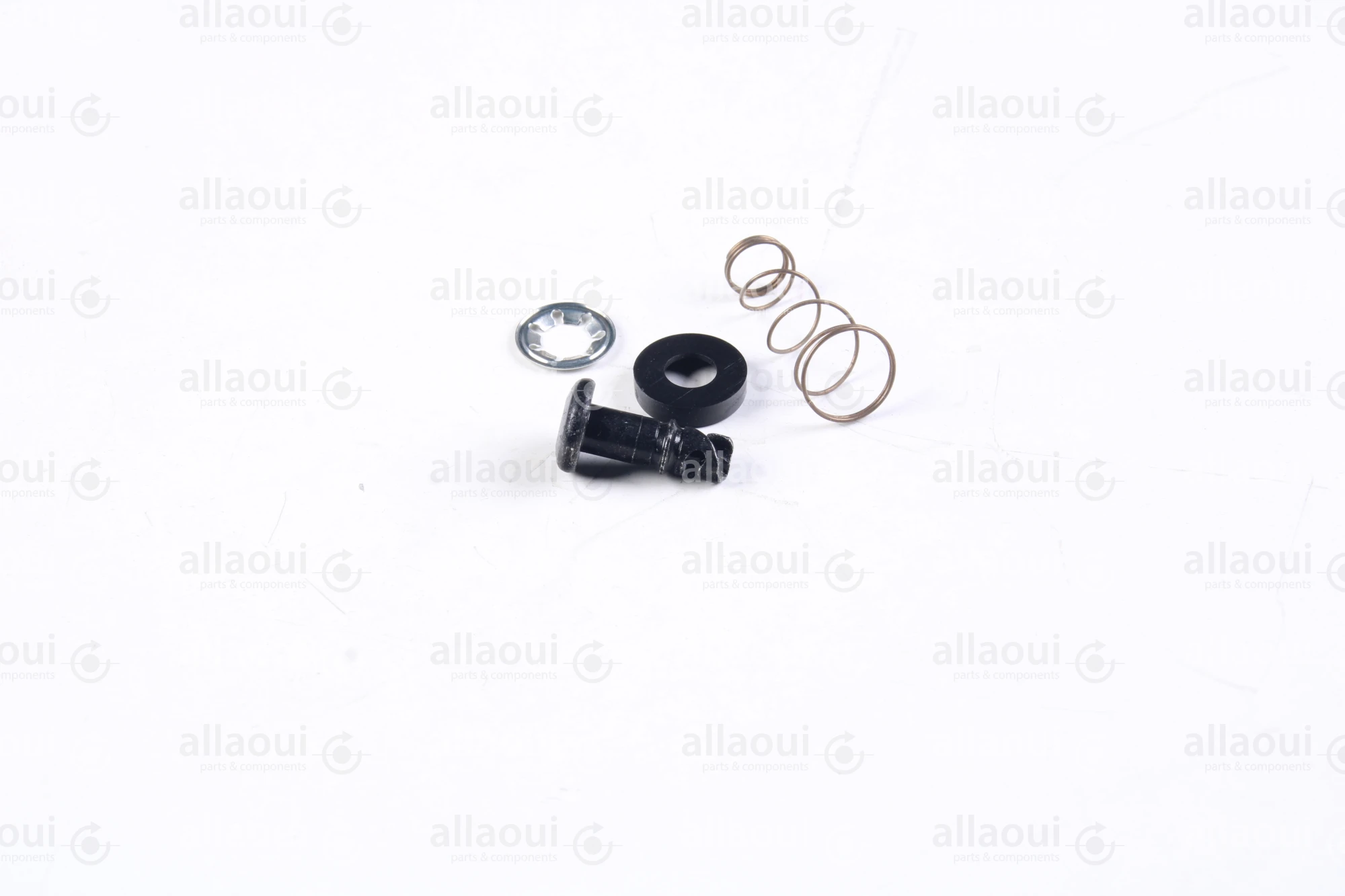 Heidelberg Journal with Spring MV.059.431