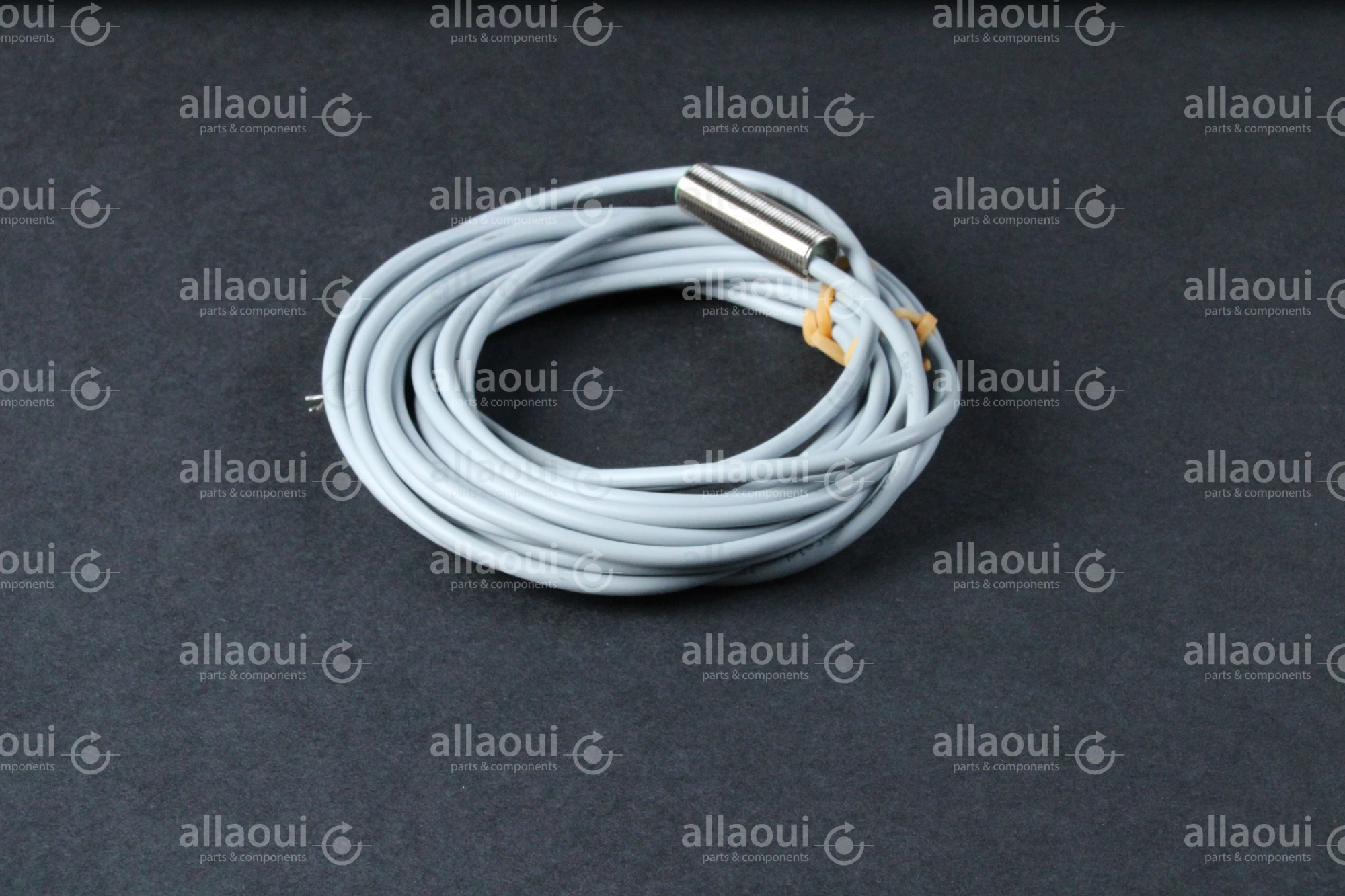 Baumer Inductive Sensor IFRM 12P17/404919