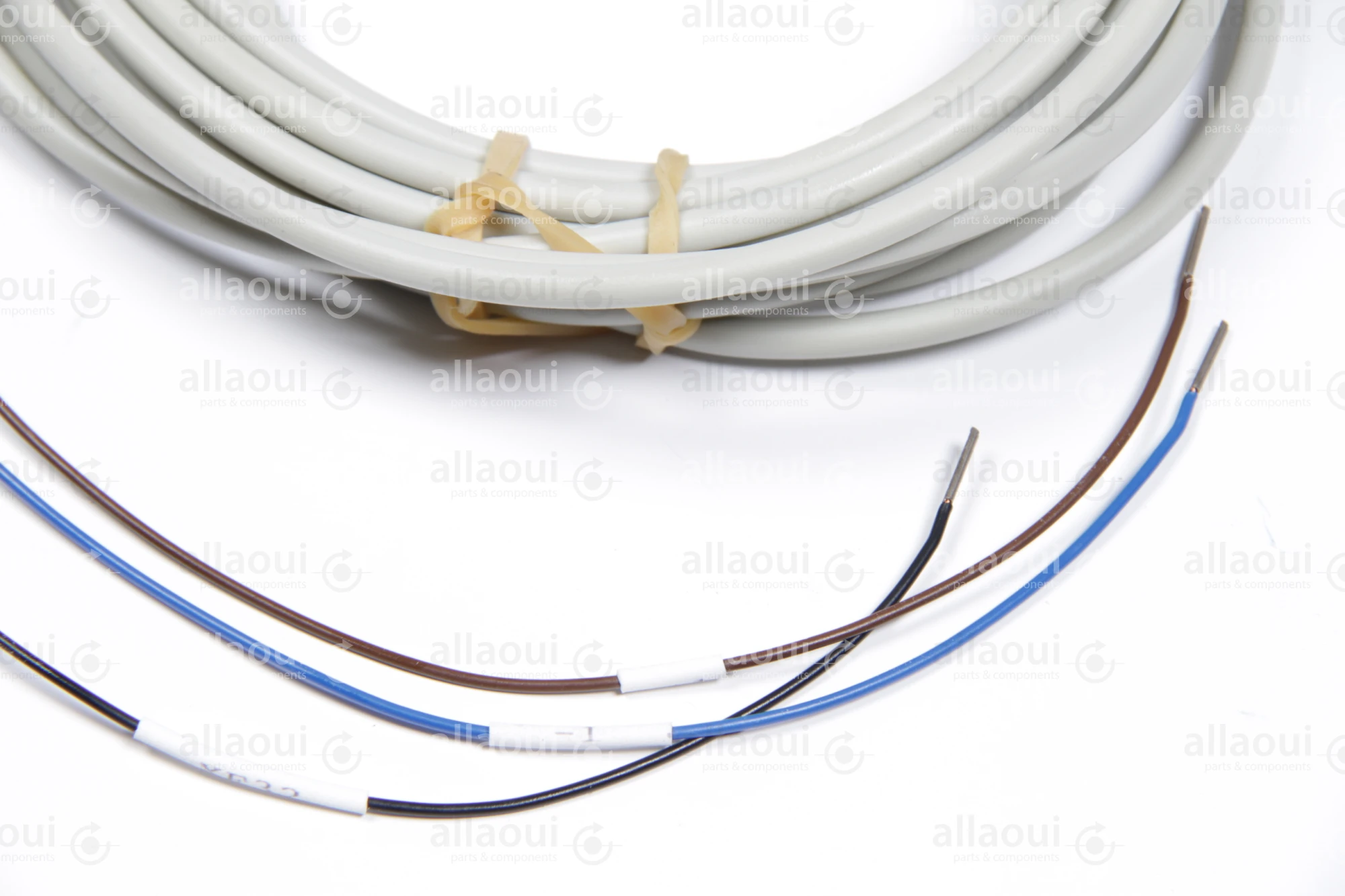 Heidelberg Capacitive Sensor M2.198.1563/05