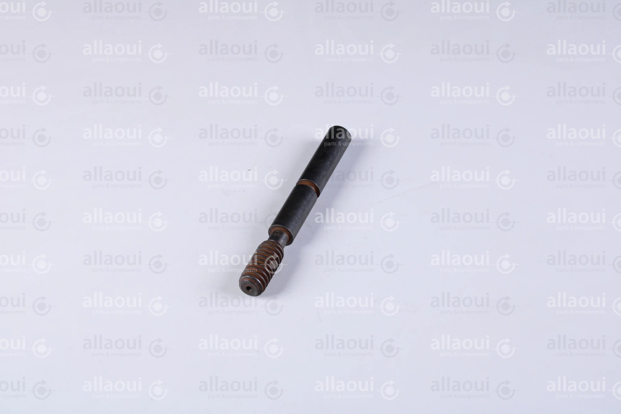 Manroland Worm 8008F302351