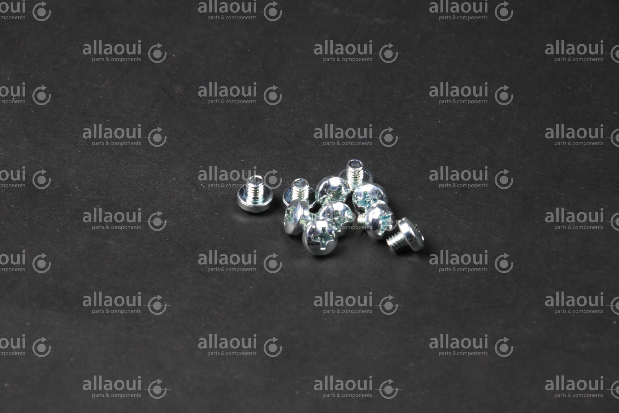 Manroland Lens Head Screw (10 pieces) 06.04201-4401