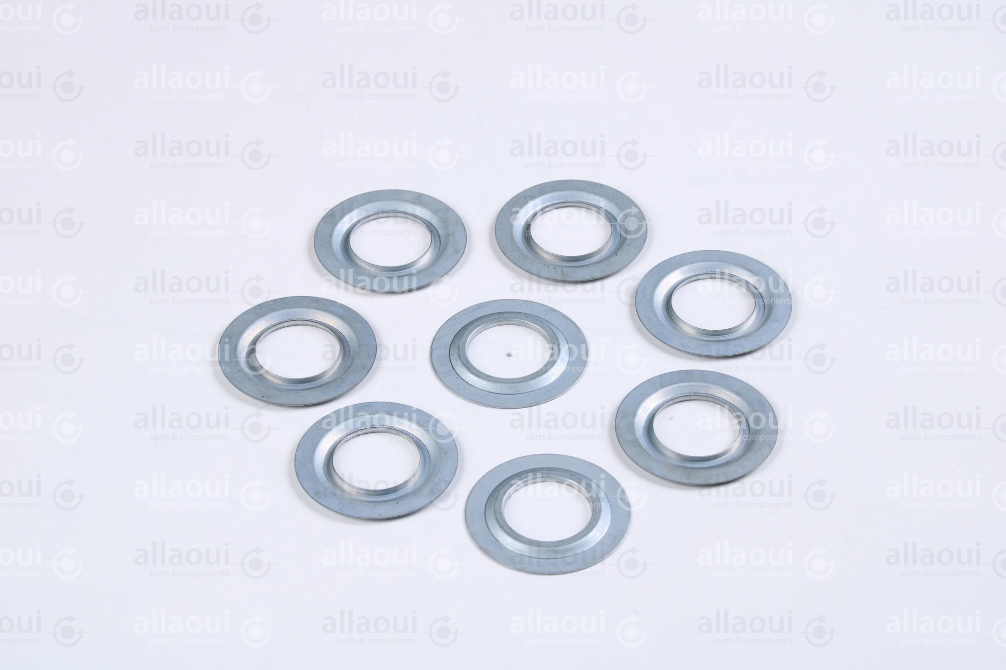 Müller Martini Sealing Ring 6202JV (8 Pieces) 0035.1767