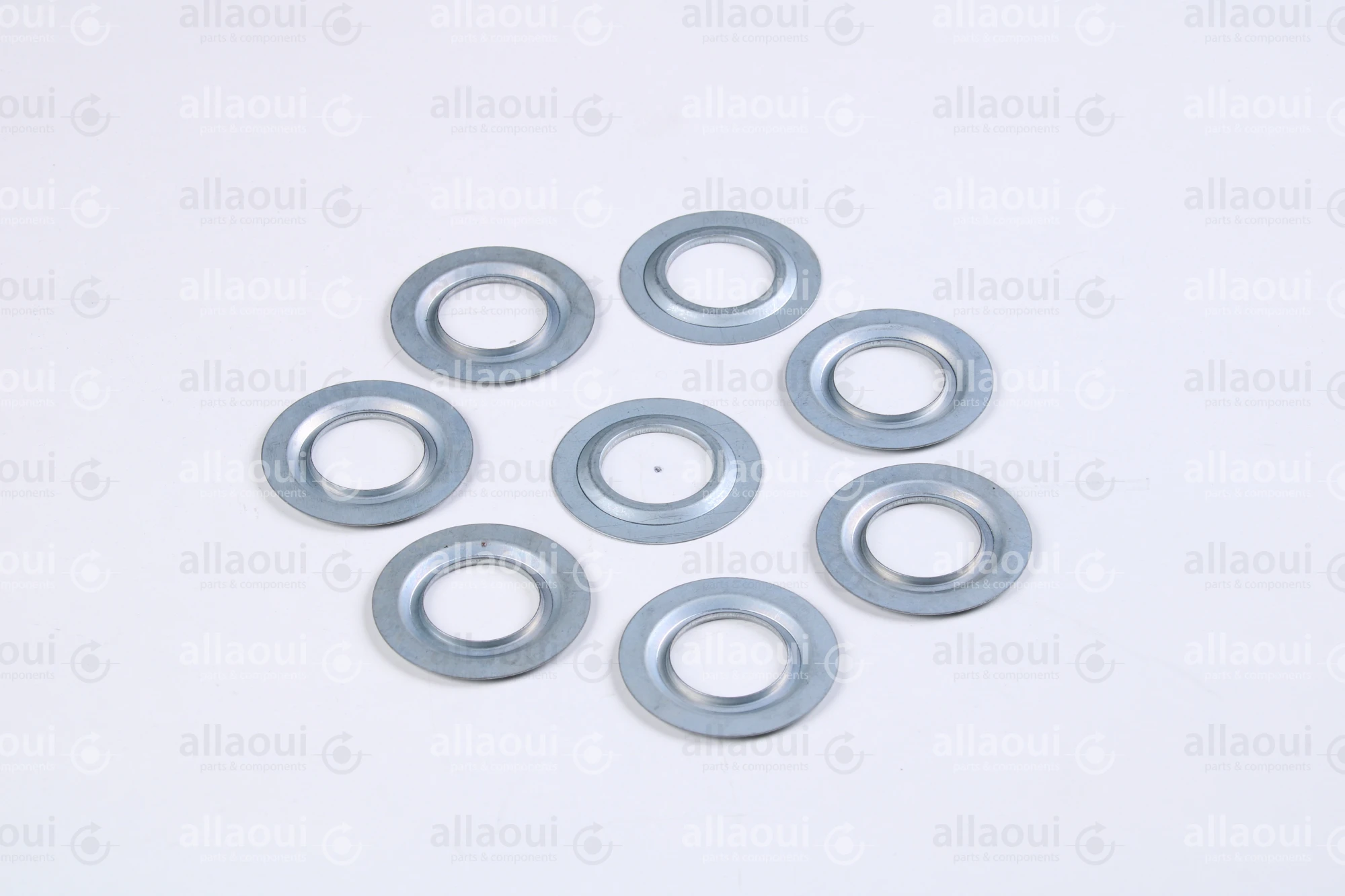 Müller Martini Sealing Ring 6202JV (8 Pieces) 0035.1767