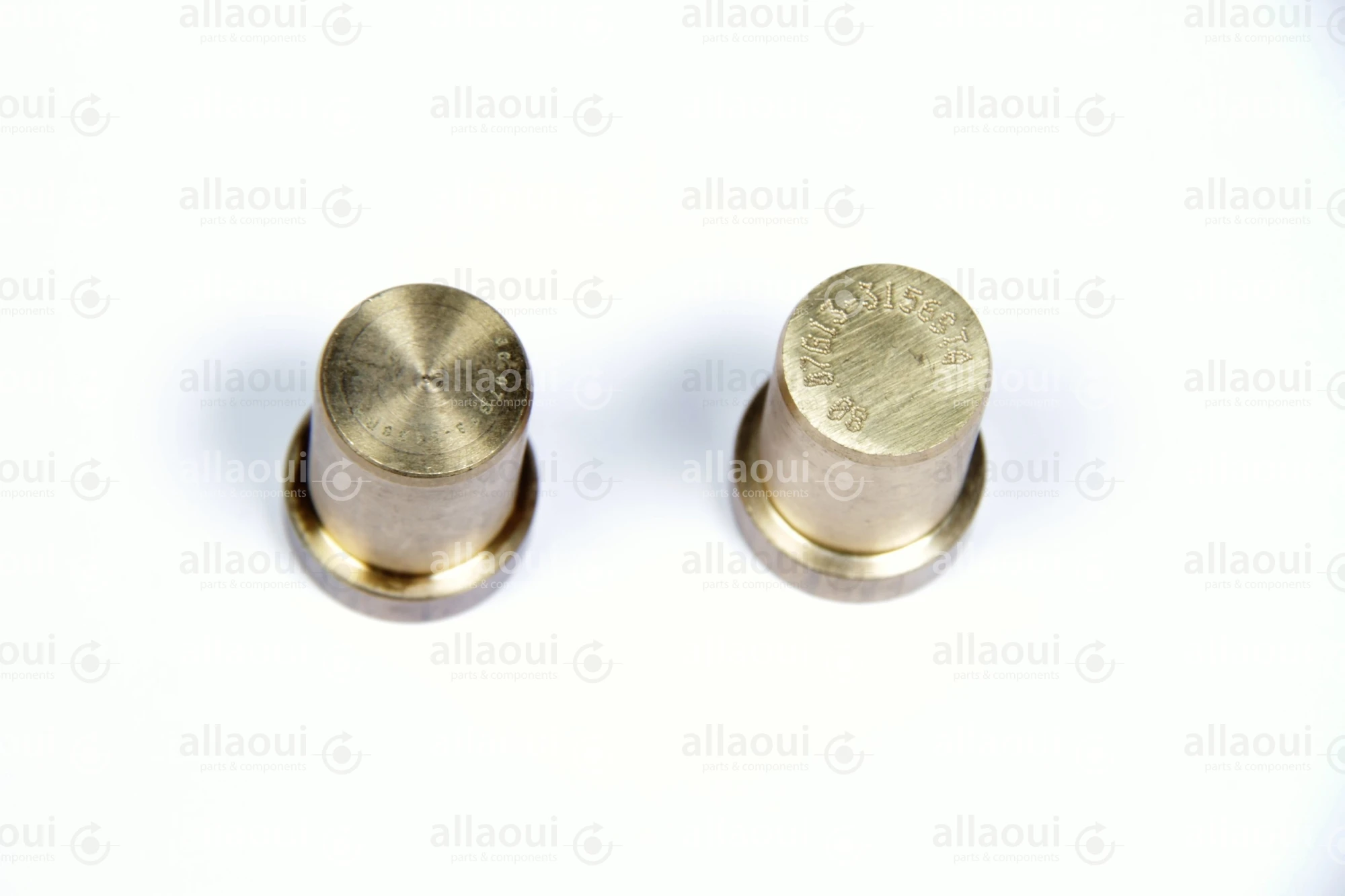 Manroland 007G315613 007G315613