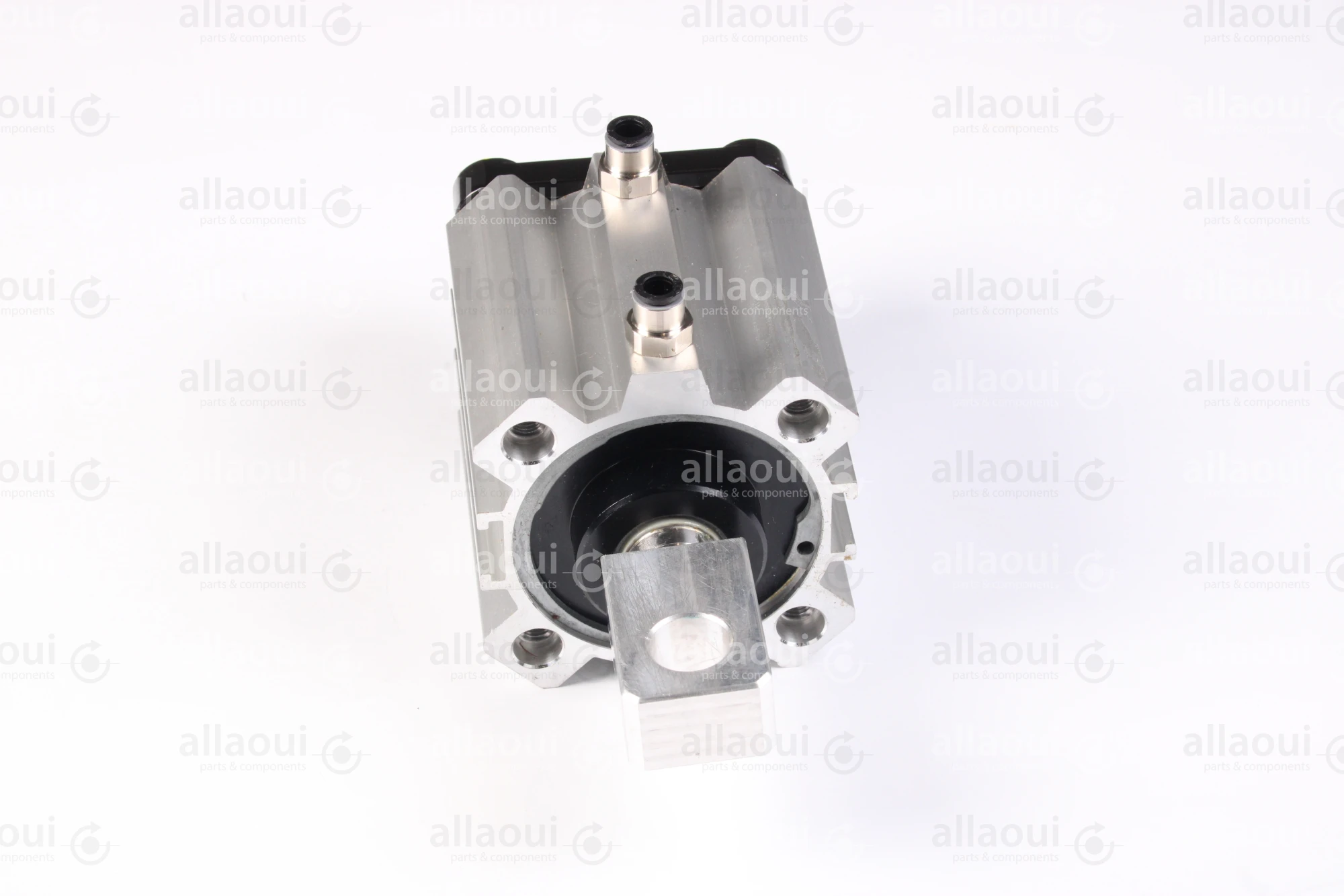 Elettra S.r.l Pneumatic Cylinder 1026653-00