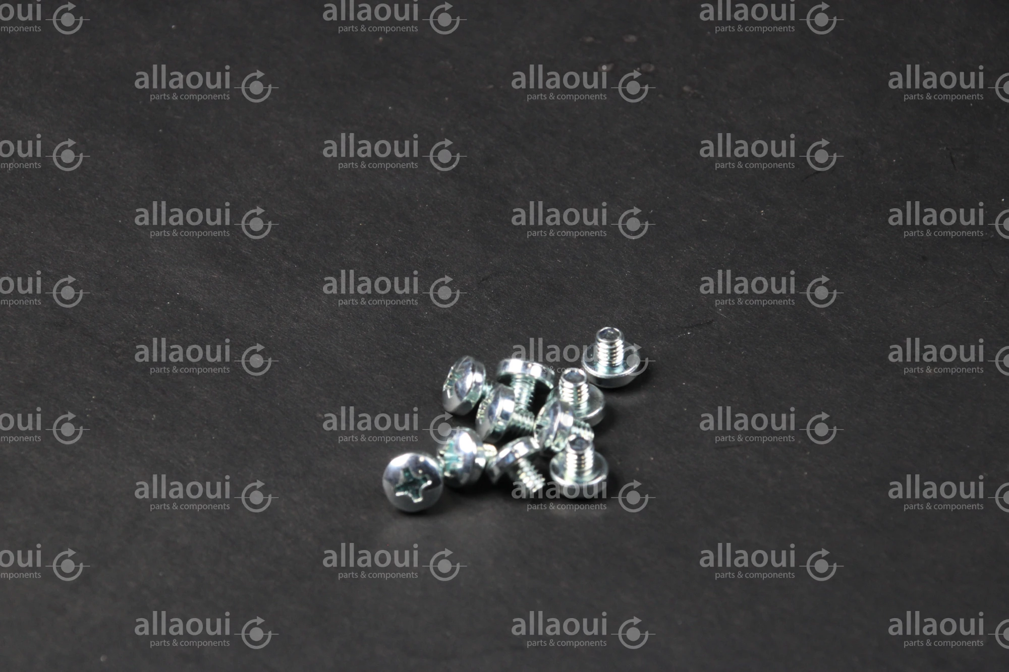 Manroland Lens Head Screw (10 pieces) 06.04201-4401