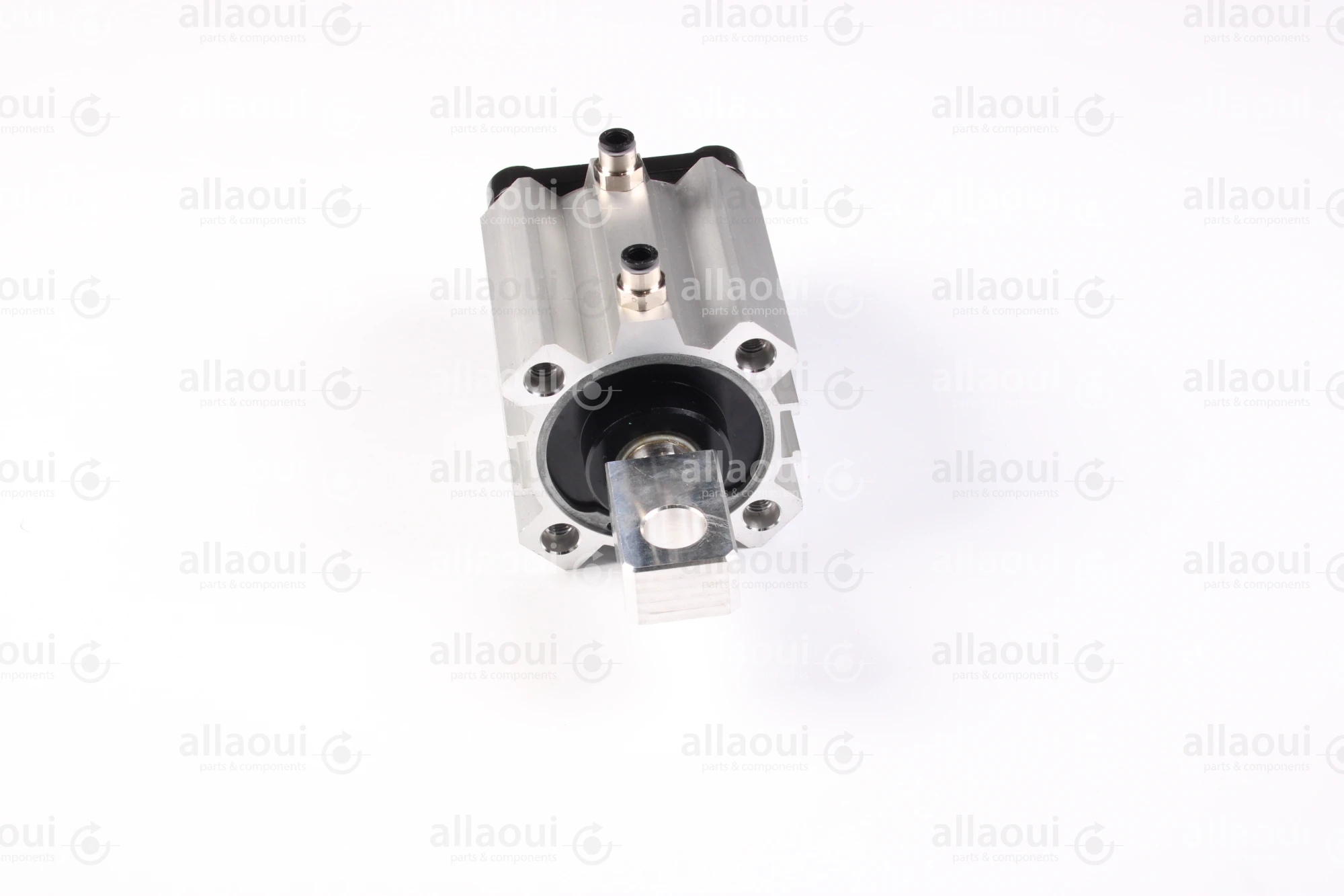 Elettra S.r.l Pneumatic Cylinder 1026653-00