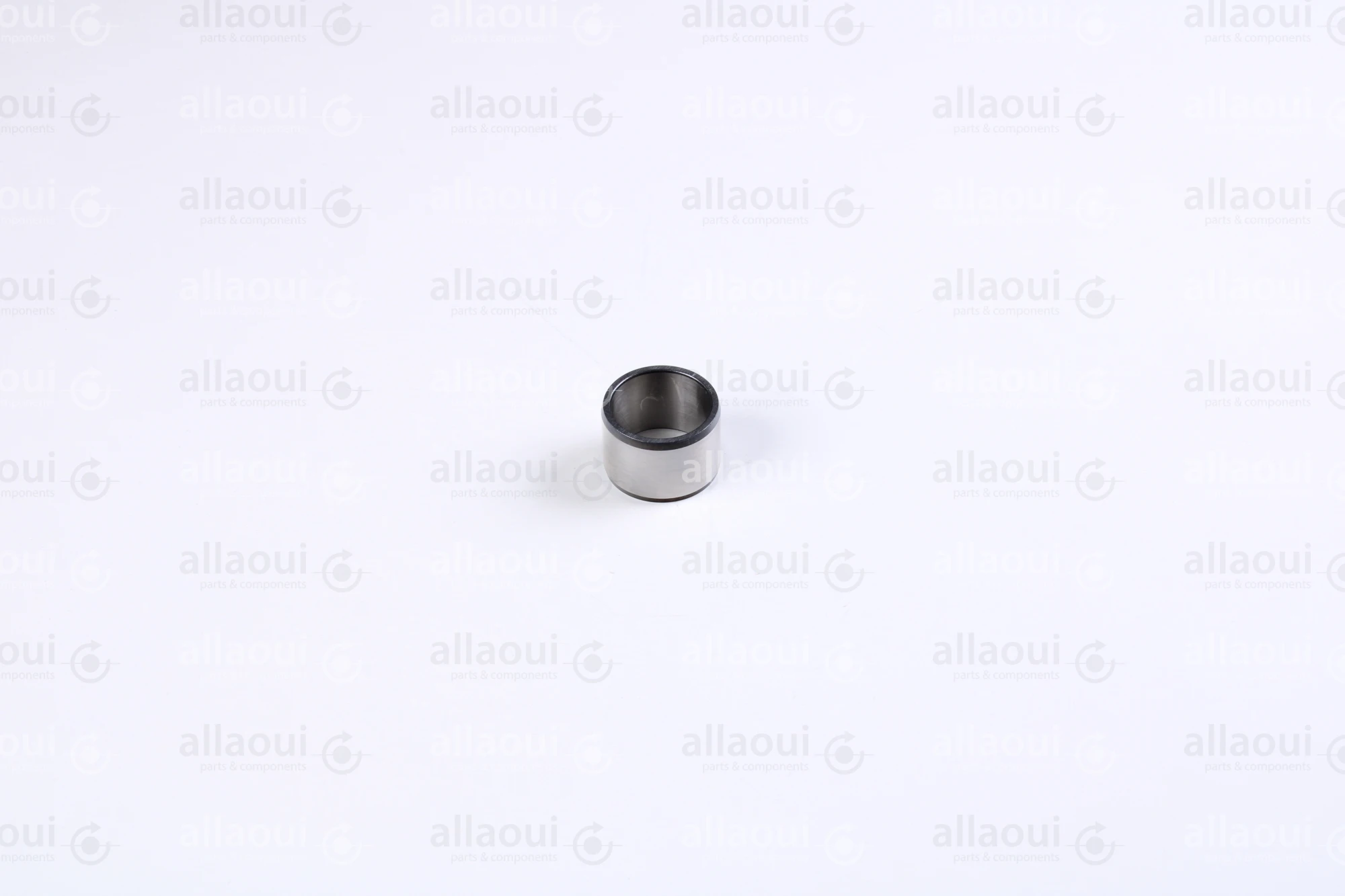 INA Inner Ring 000021628-0000