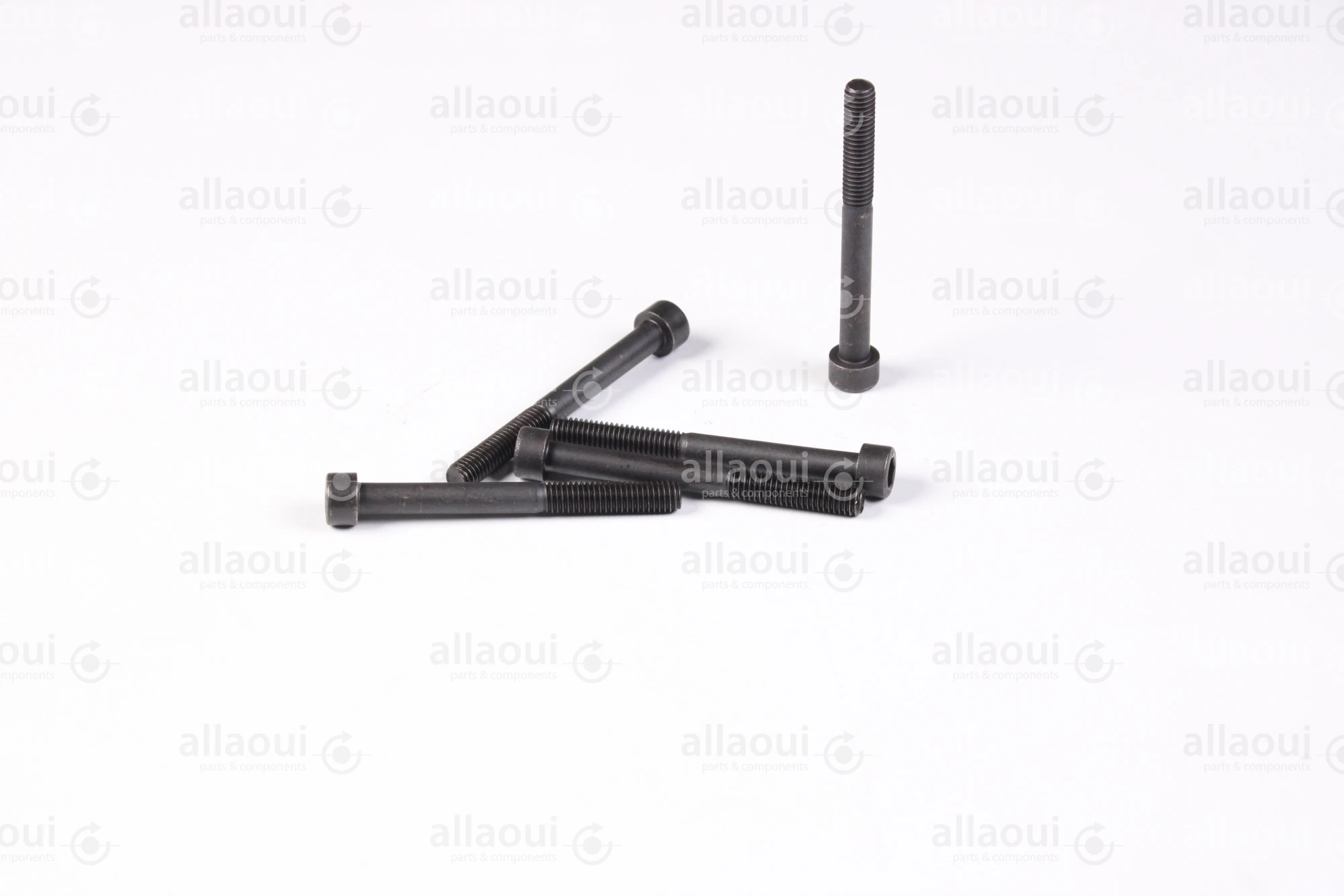 Manroland Cylinder Screw (5 pieces) 06.02093-0316