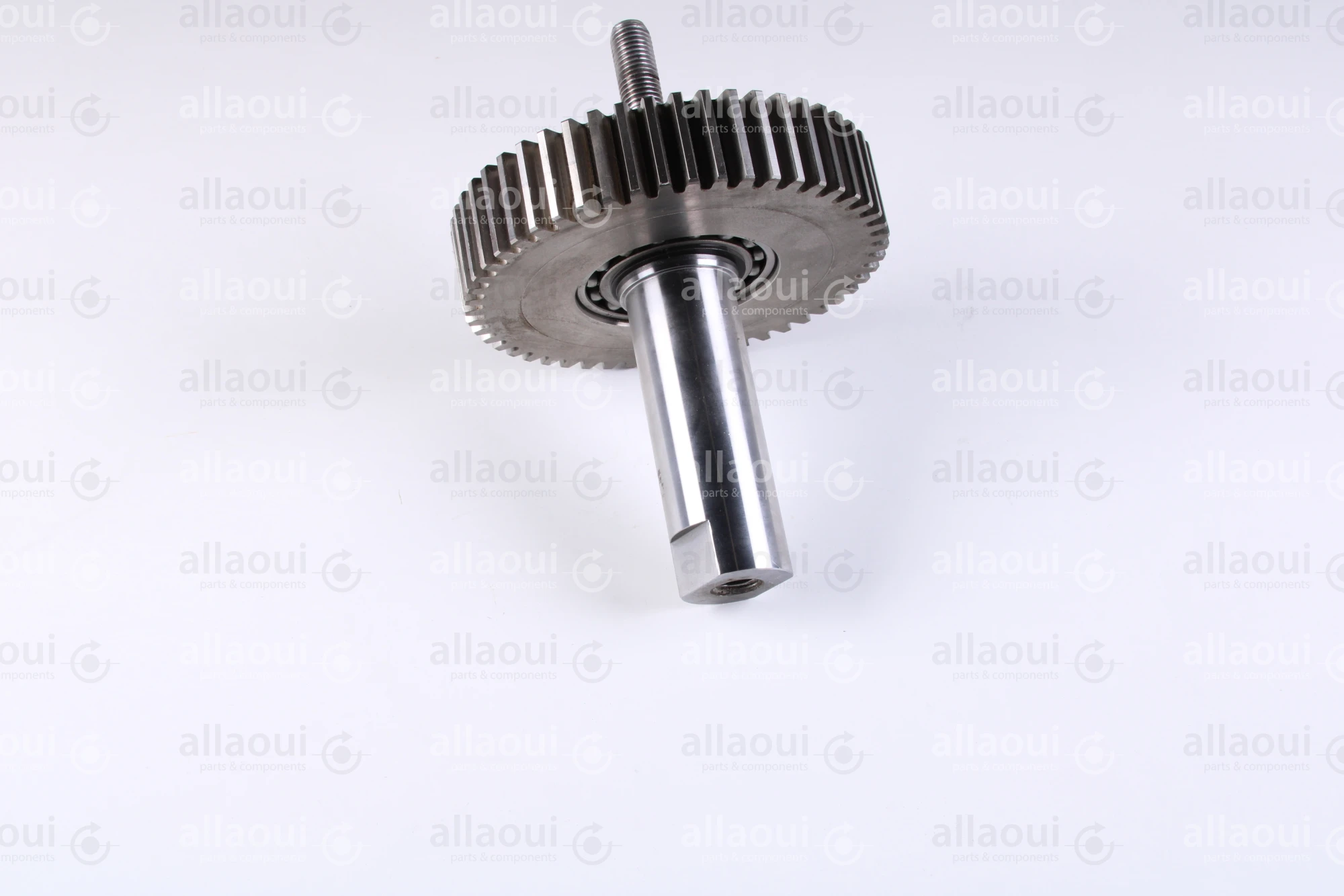 Heidelberg Journal 7G.010.513F/05