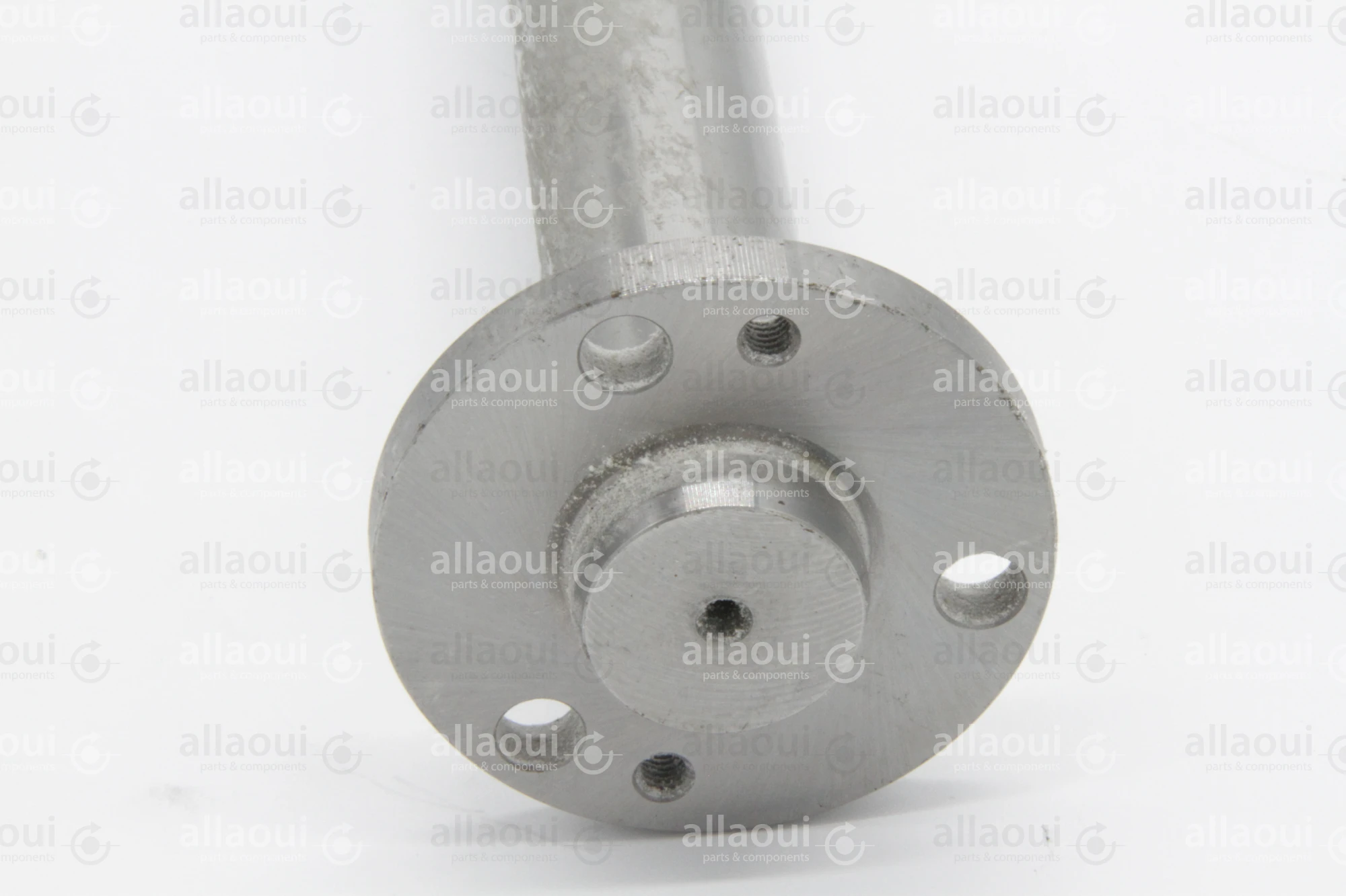 Heidelberg Journal DS F2.030.602 /05