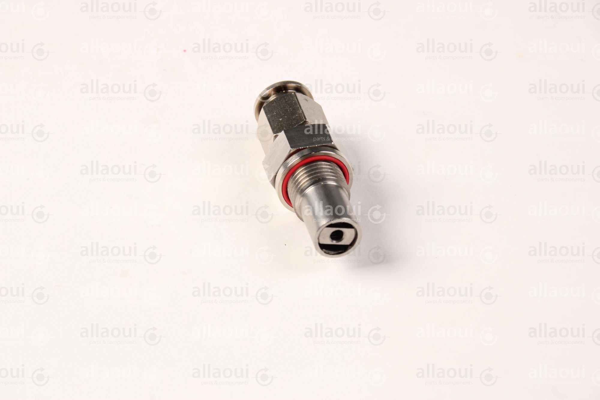 Planatol Check Valve 109176