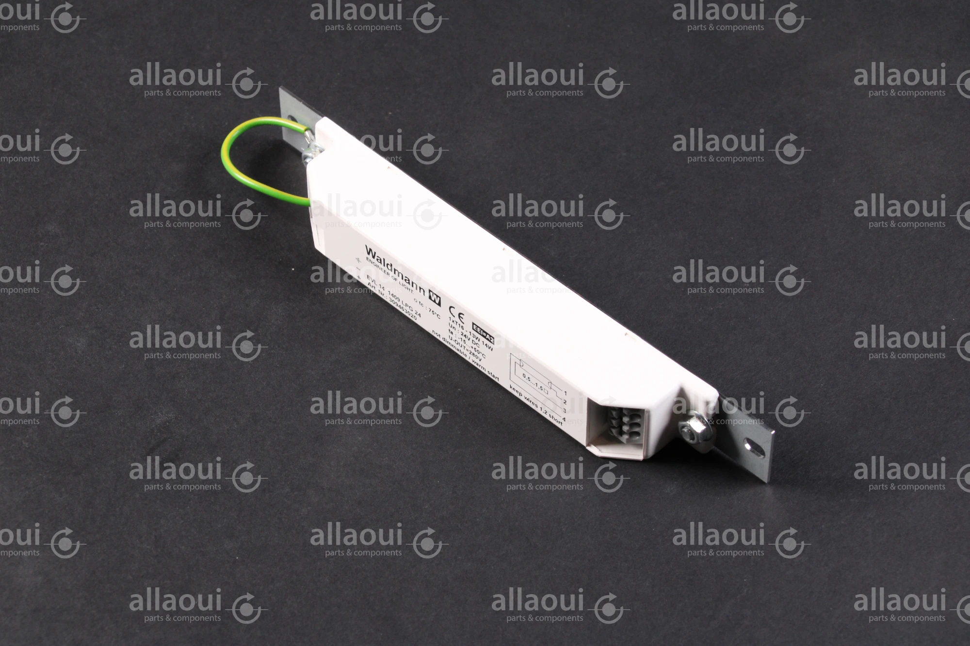 Waldmann 24VDC ballast 309463020