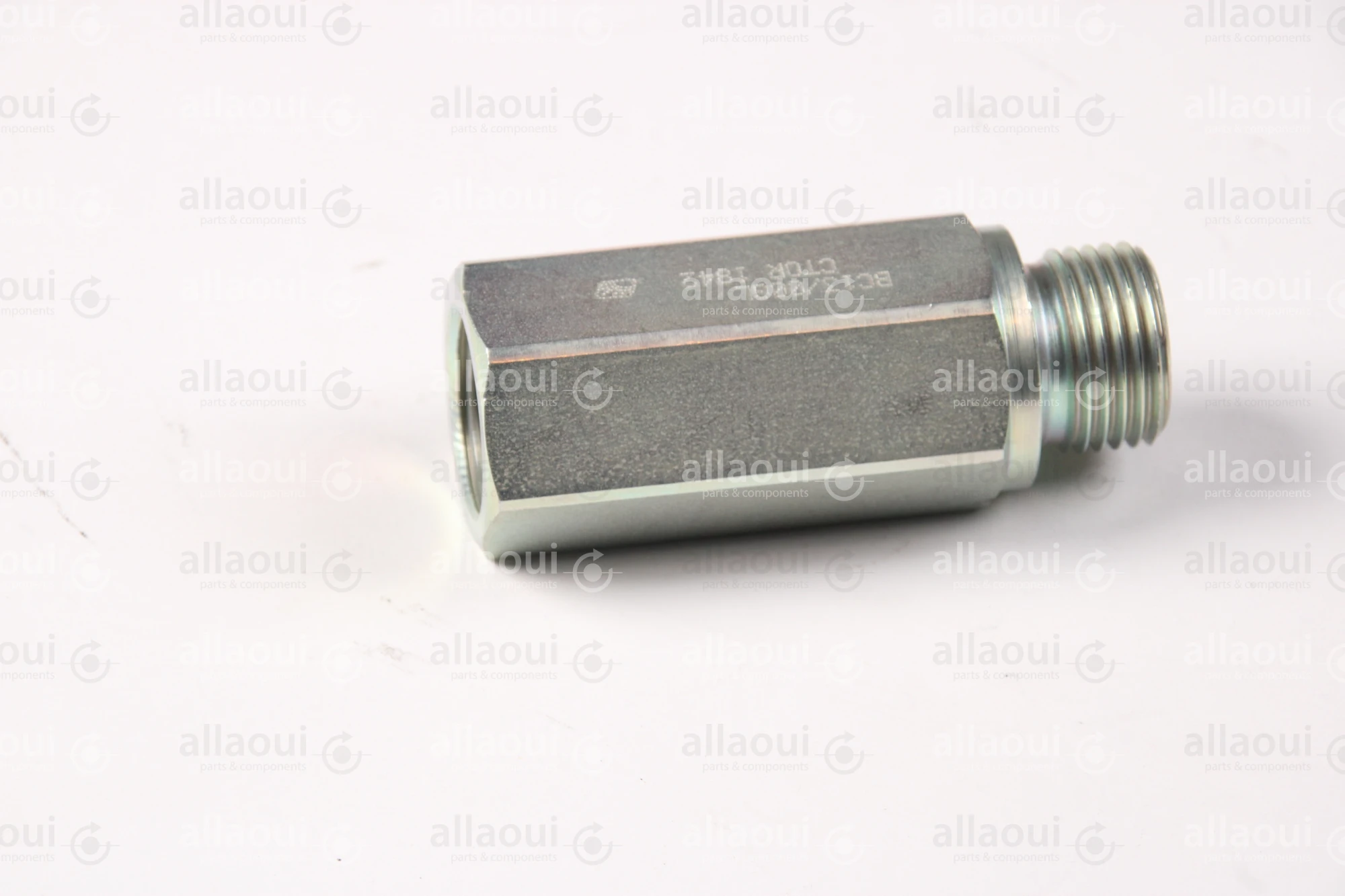 Contiweb Load Holding Valve WH090453655