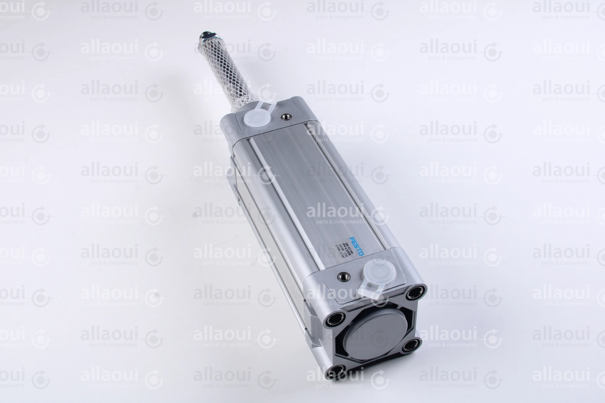 Festo Double acting standard cylinder DNC-63-100-PPV-A-100K8