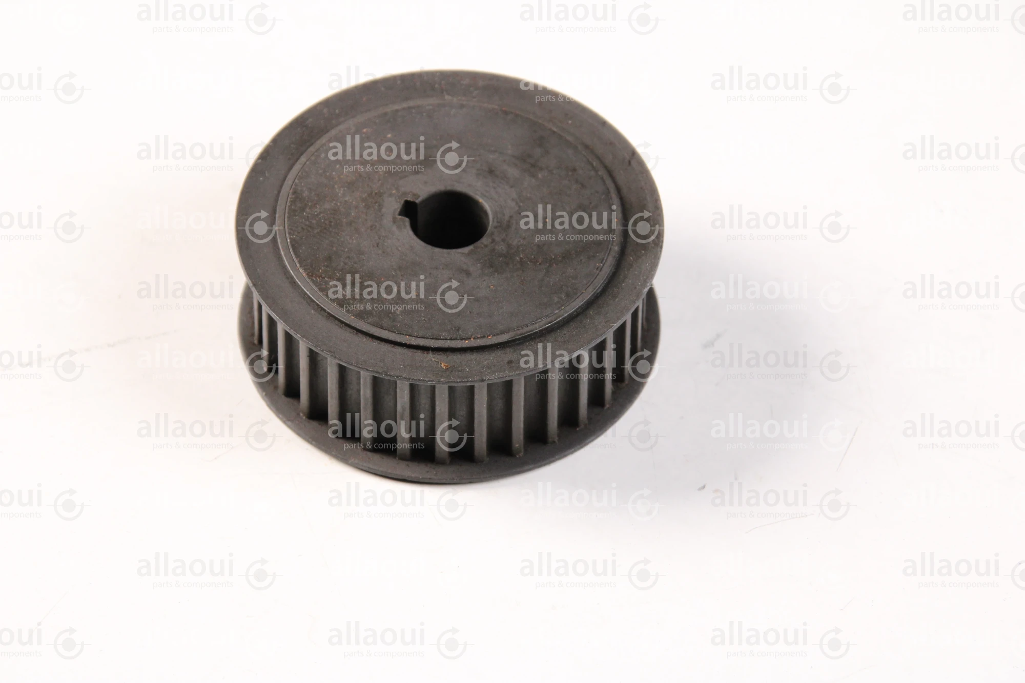 RIMA System Pulley 500621331