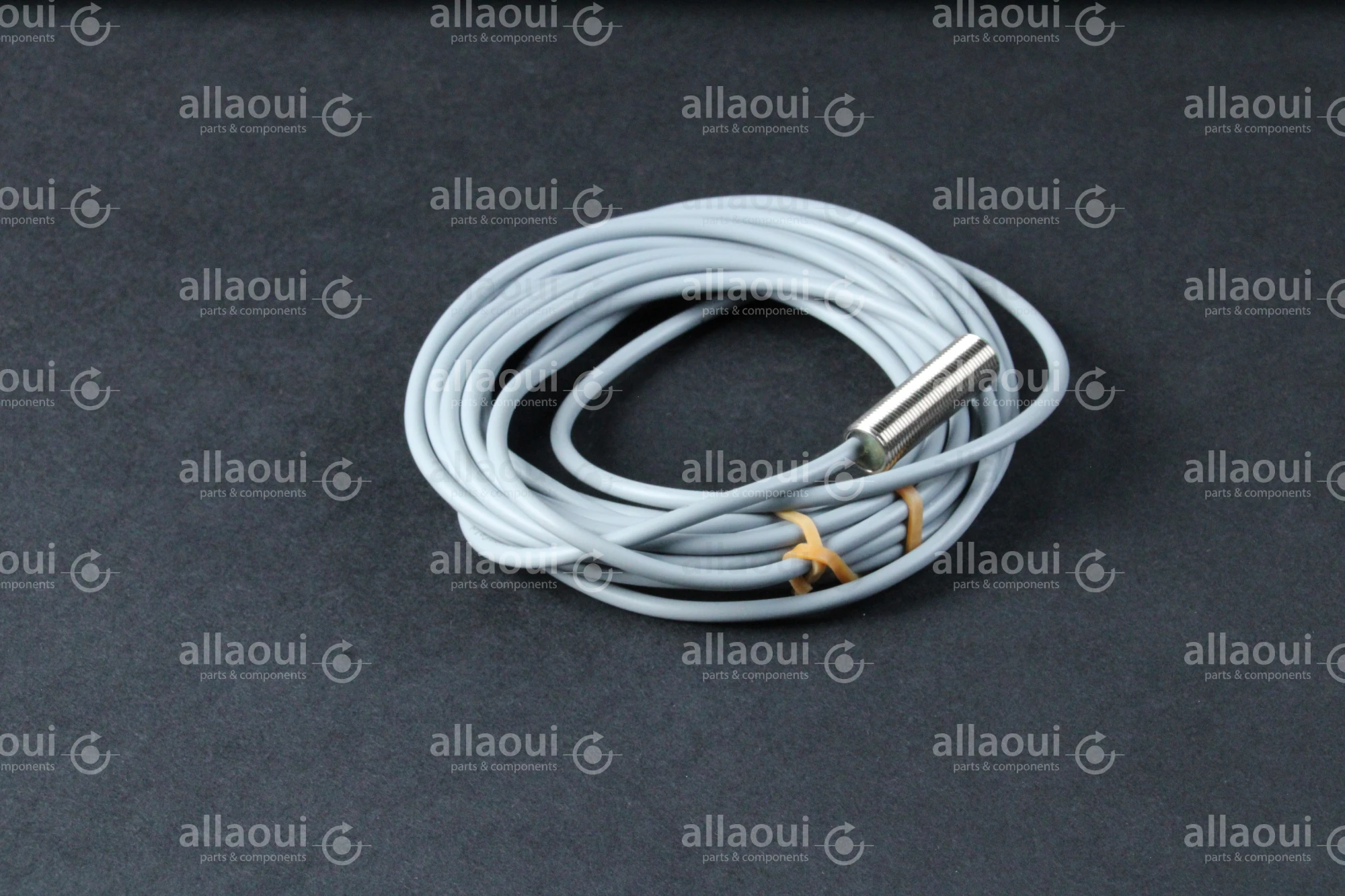 Baumer Inductive Sensor IFRM 12P17/404919