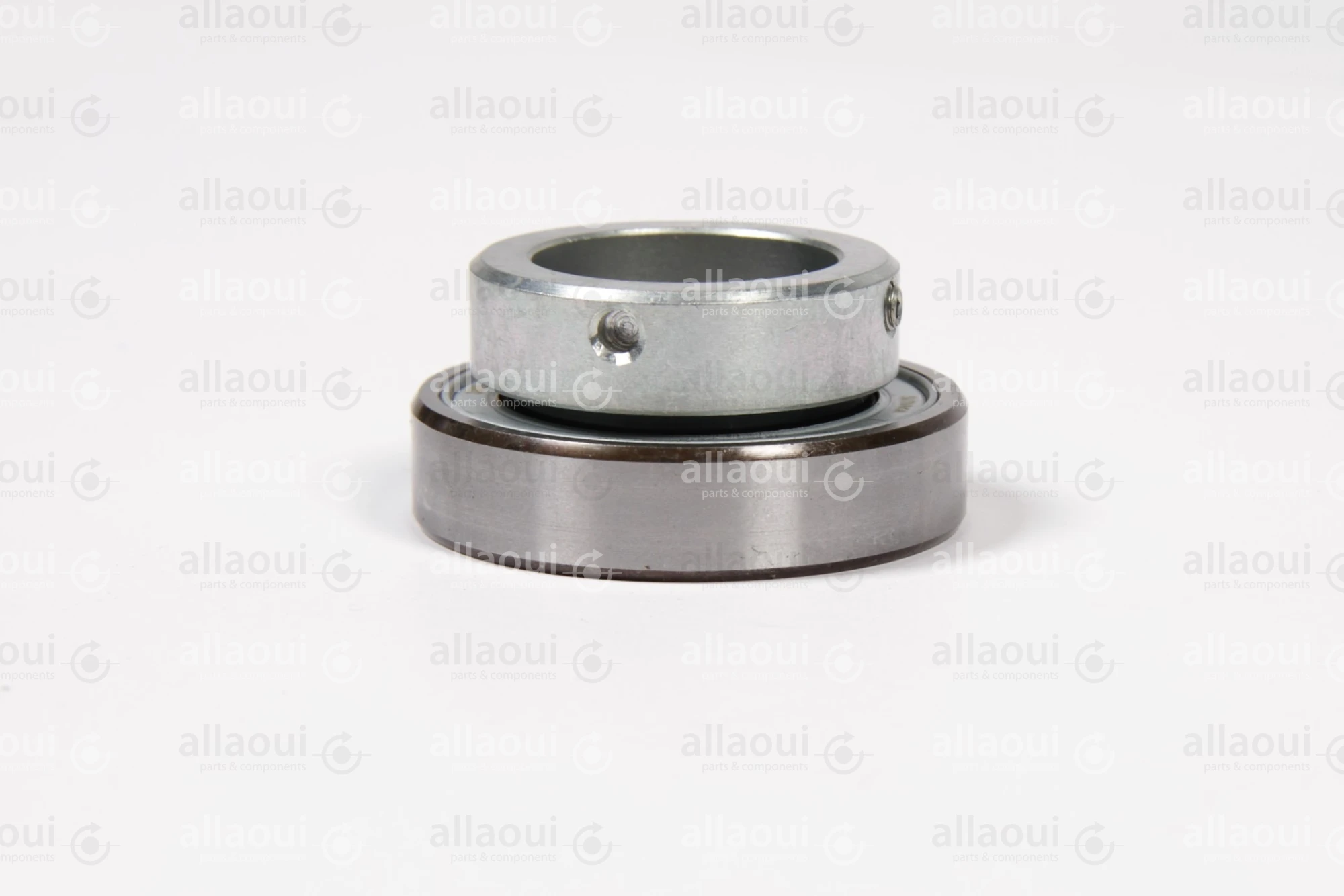 INA Bearing RALE30-NPP-FA106